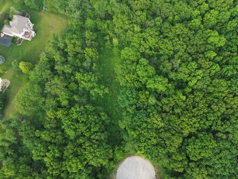 7106 Forest Oak Drive McHenry, IL 60050 - Photo 13 of 14 a backyard of a house with lots of green space and a lake view