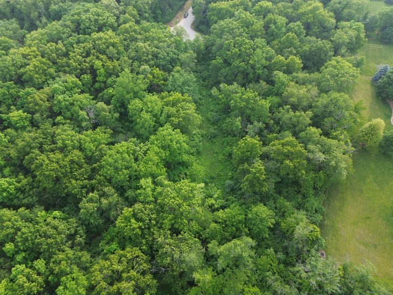 7106 Forest Oak Drive McHenry, IL 60050 - Photo 9 of 14 a view of a lush green forest