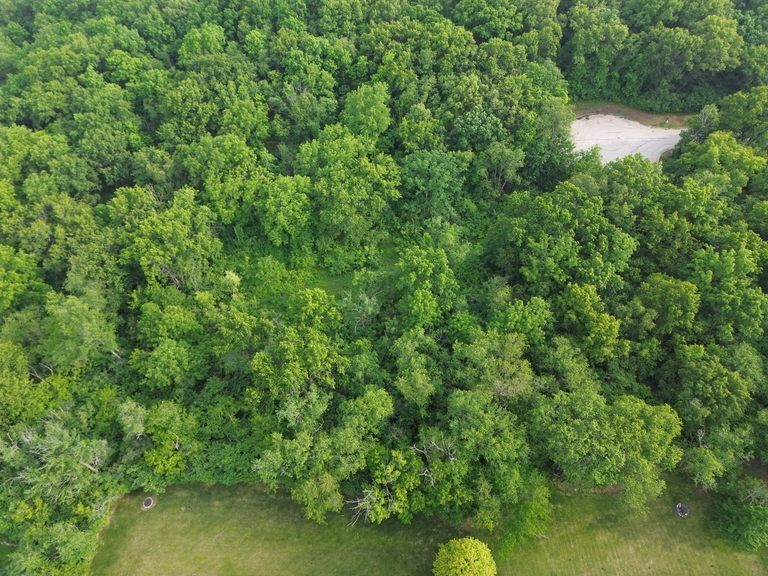 7106 Forest Oak Drive McHenry, IL 60050 - Photo 10 of 14 a view of a garden