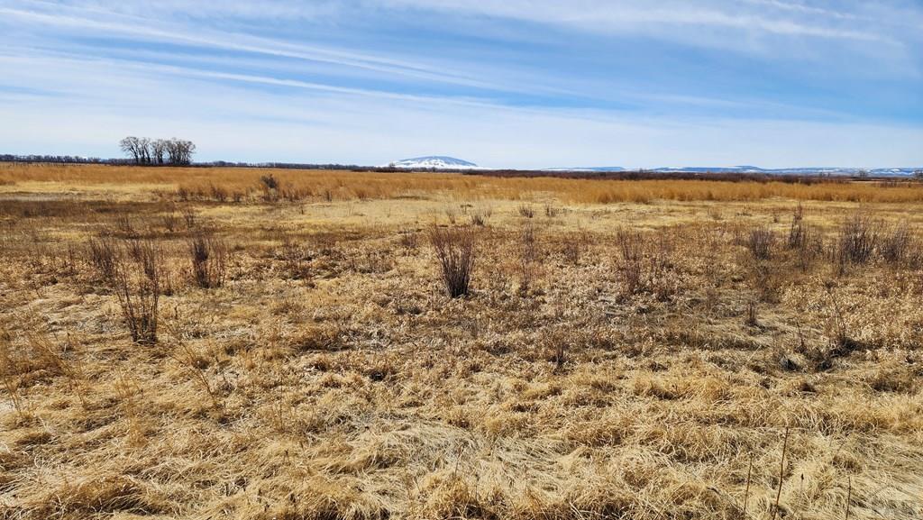 0 County Road Manassa, CO 81141 - Photo 19 of 20