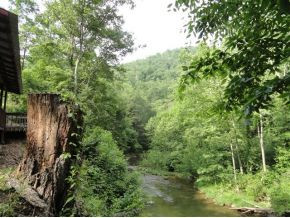 Tbd Tbd Noftester Rd(end Of Stansberry Butler, TN 37640 - Photo 16 of 20 700 feet plus of river front
