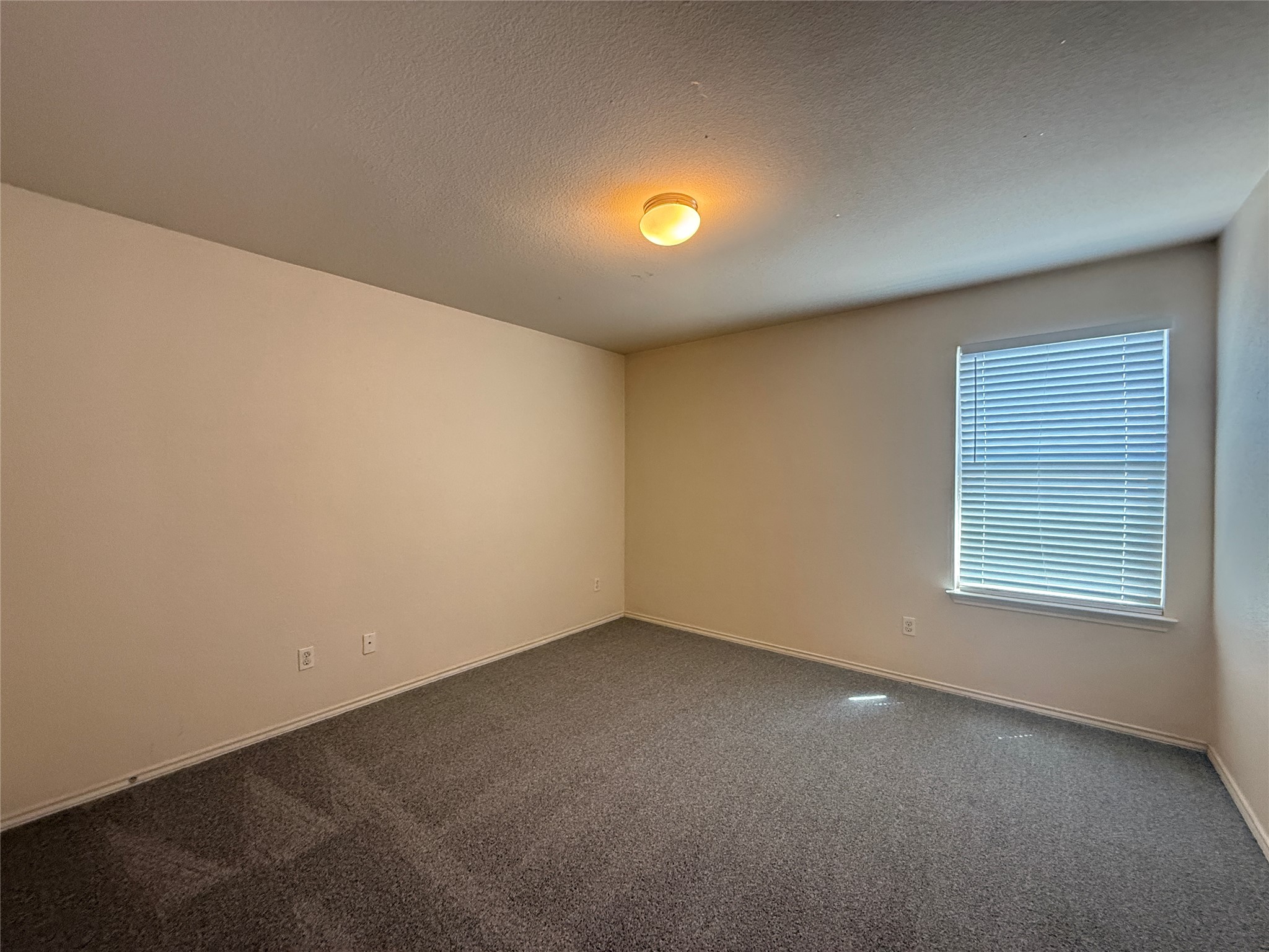 279 Housefinch Loop Leander, TX 78641 - Photo 20 of 30 Carpeted empty room with a textured ceiling and baseboards
