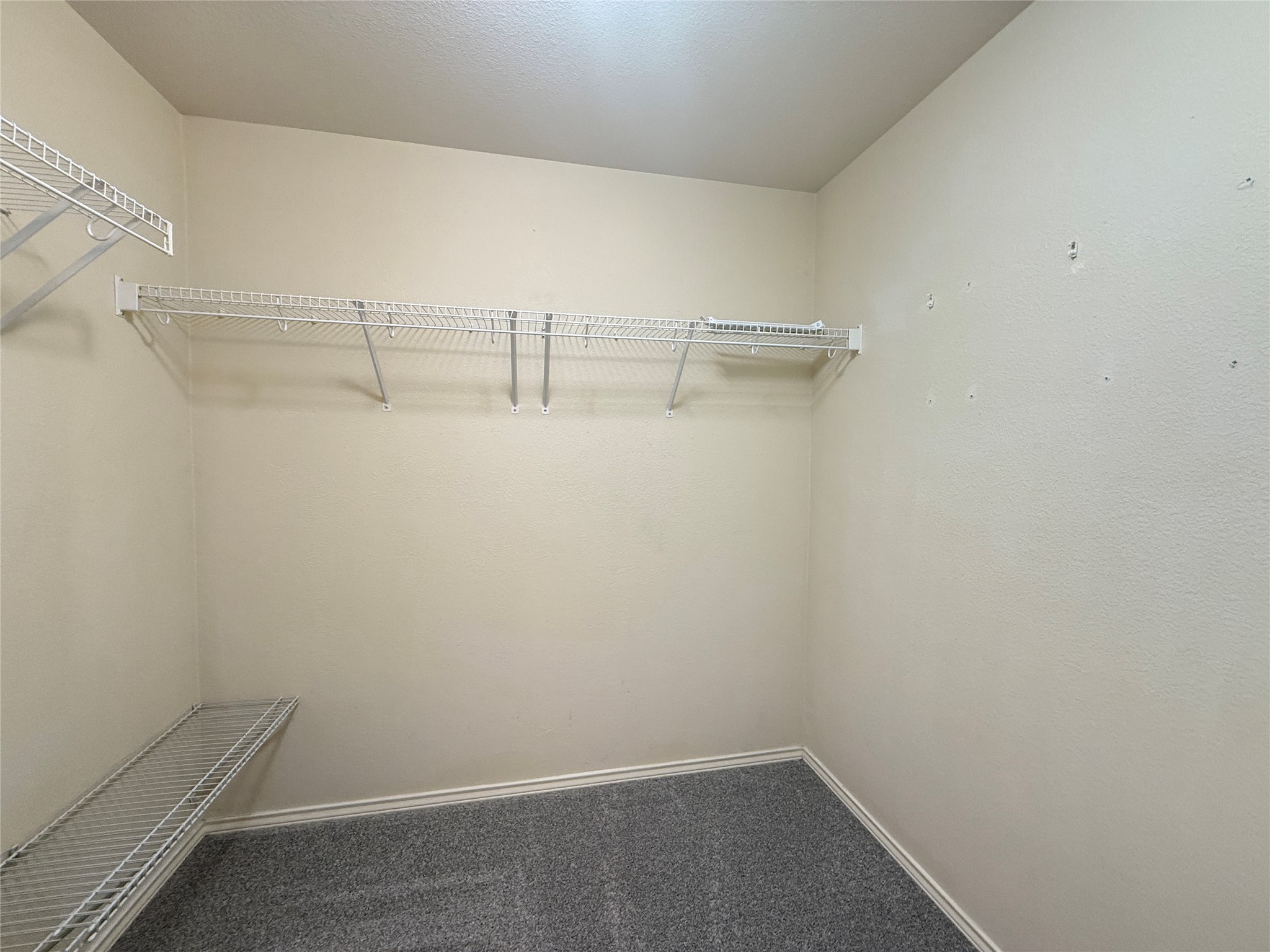 279 Housefinch Loop Leander, TX 78641 - Photo 26 of 30 Walk in closet featuring dark colored carpet