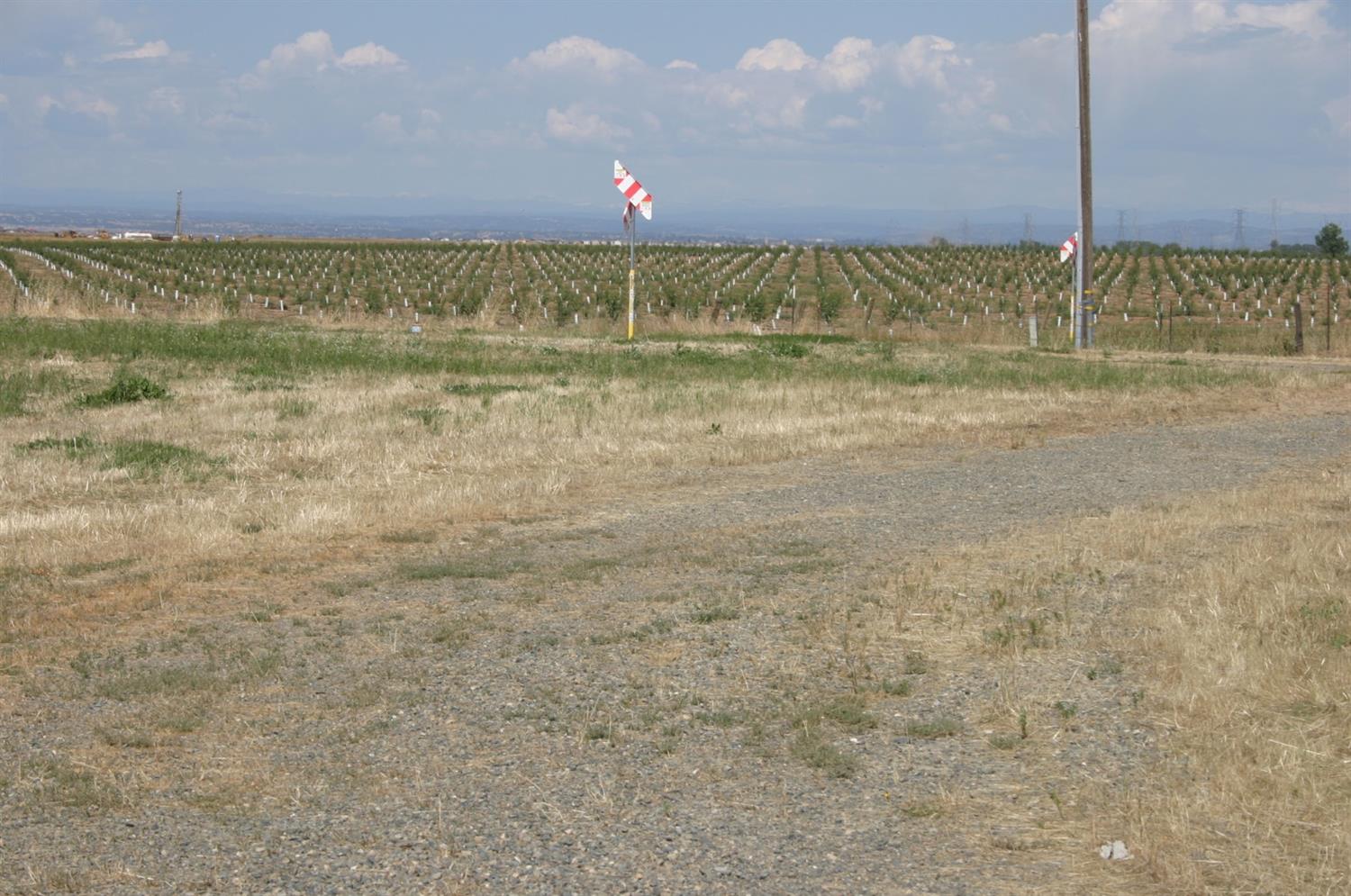 7920 Country Acres Lane Elverta, CA 95626 - Photo 6 of 27
