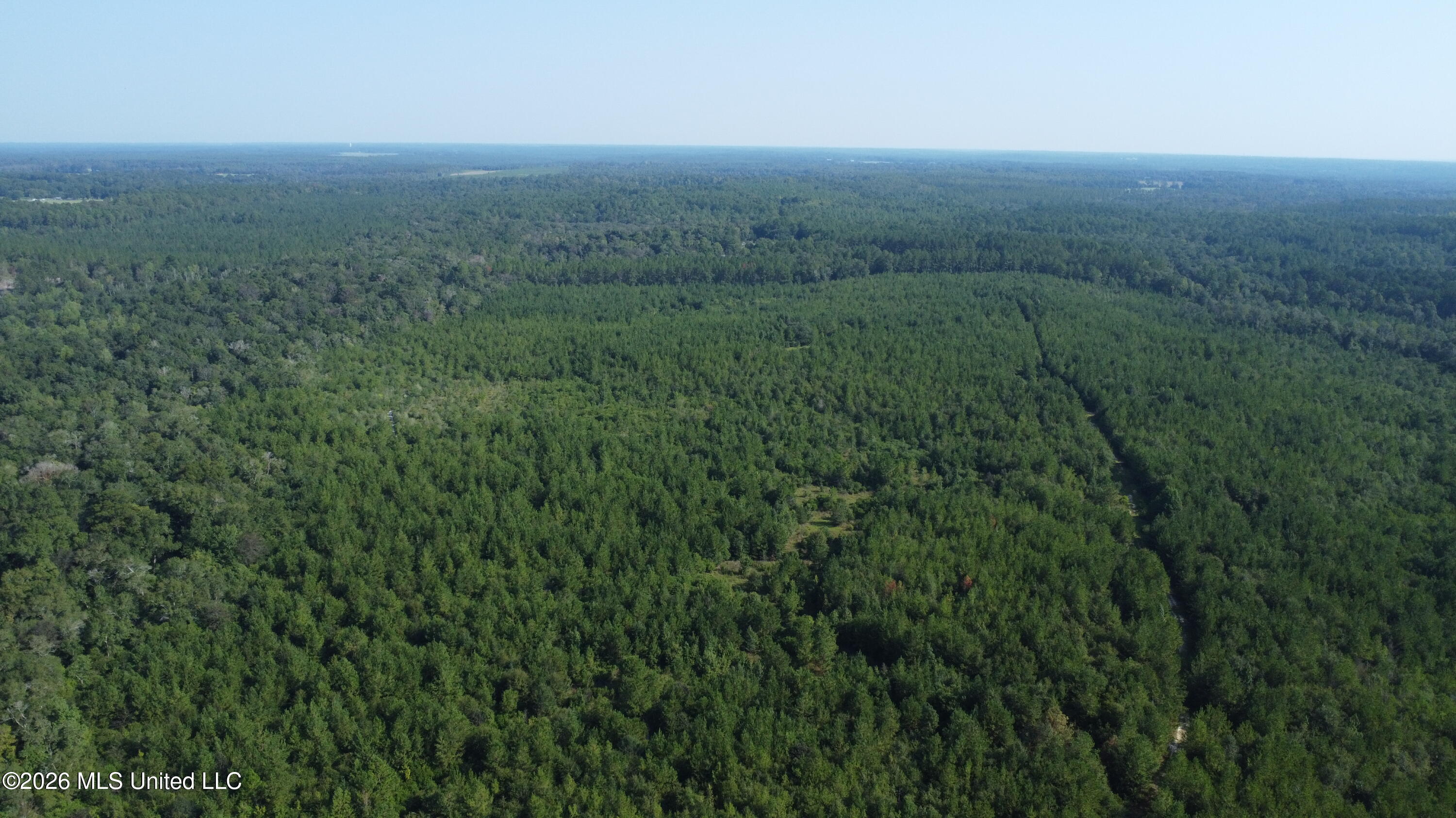 156.3 Acres Beesley Road Lucedale, MS 39452 - Photo 20 of 30 DJI_0478