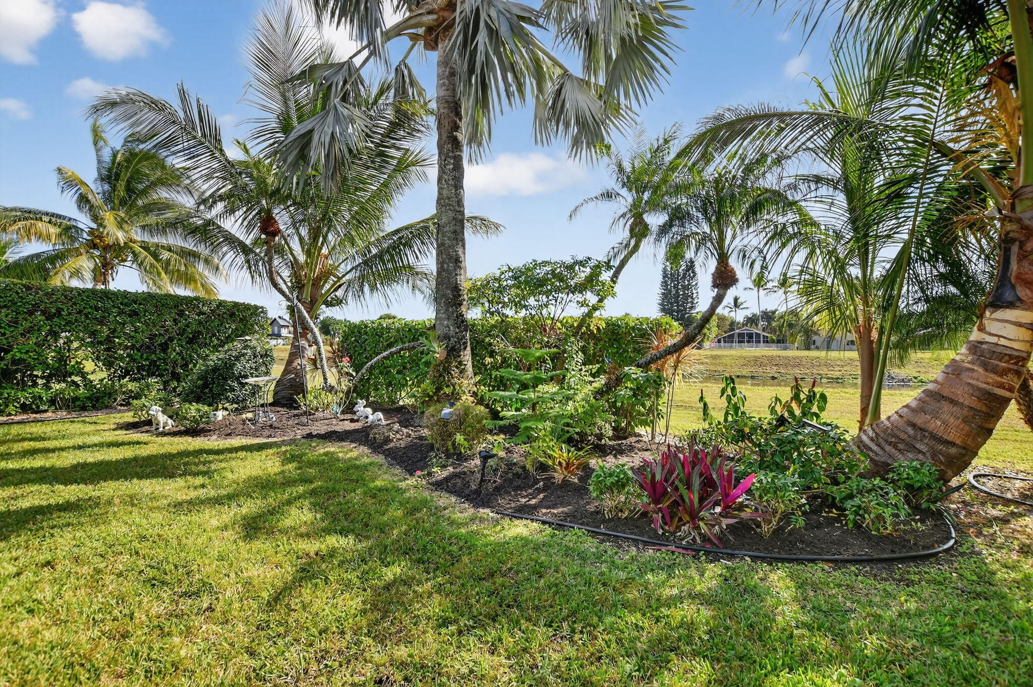 7816 Travelers Tree Drive Boca Raton, FL 33433 - Photo 47 of 61 a view of a garden with a tree