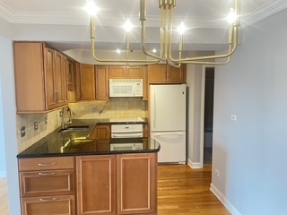 11255 South Roberts Road, Unit 2S Palos Hills, IL 60465 - Photo 5 of 10