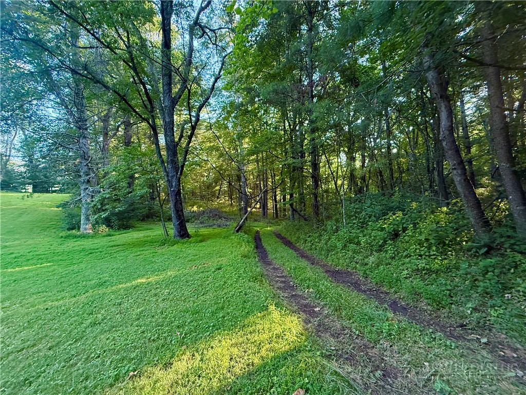 1025 Lue Jones Road Warrensville, NC 28693 - Photo 6 of 23