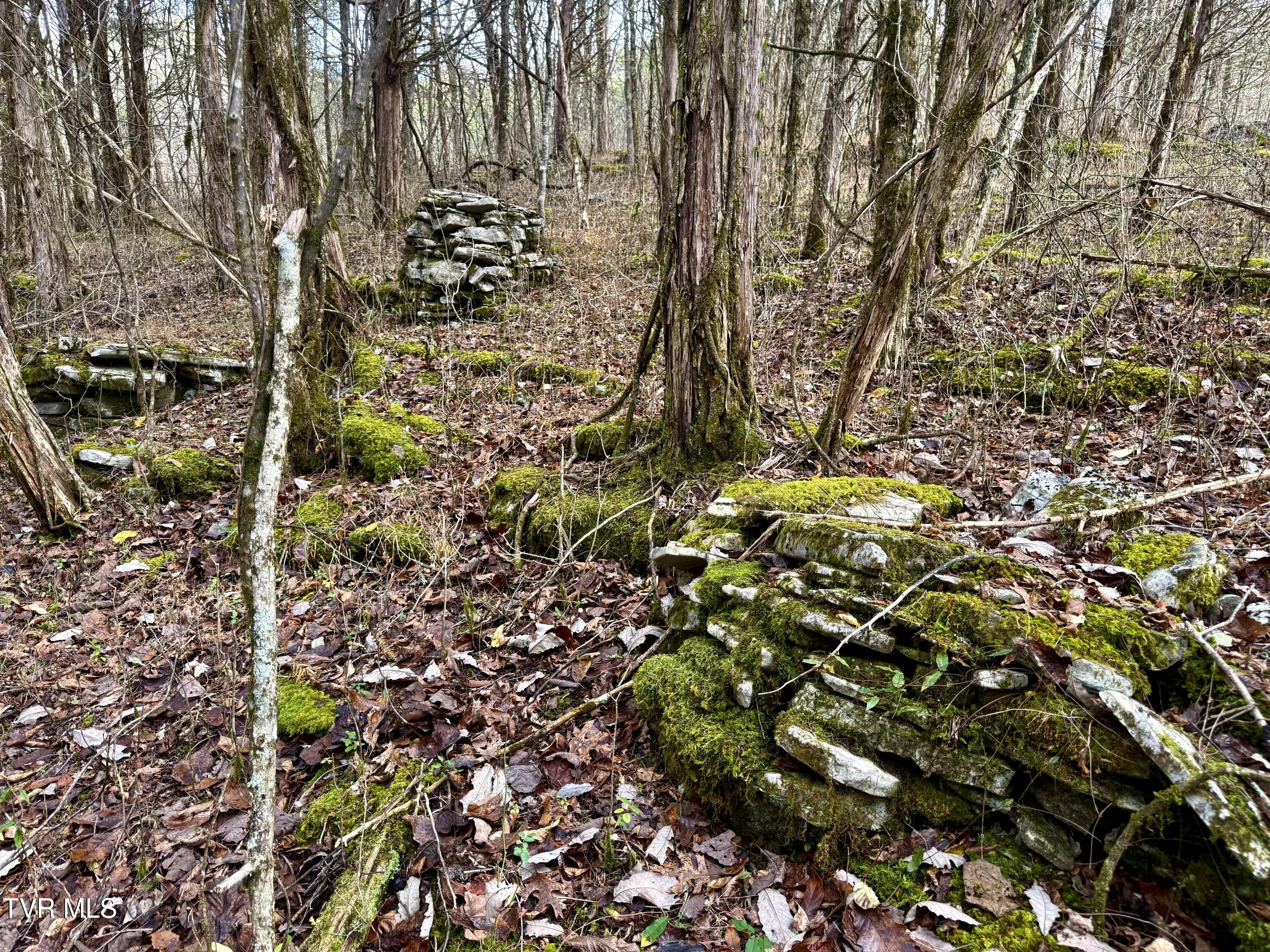 2114 Powell River Road Tazewell, TN 37879 - Photo 101 of 108 _Pic98 (3)