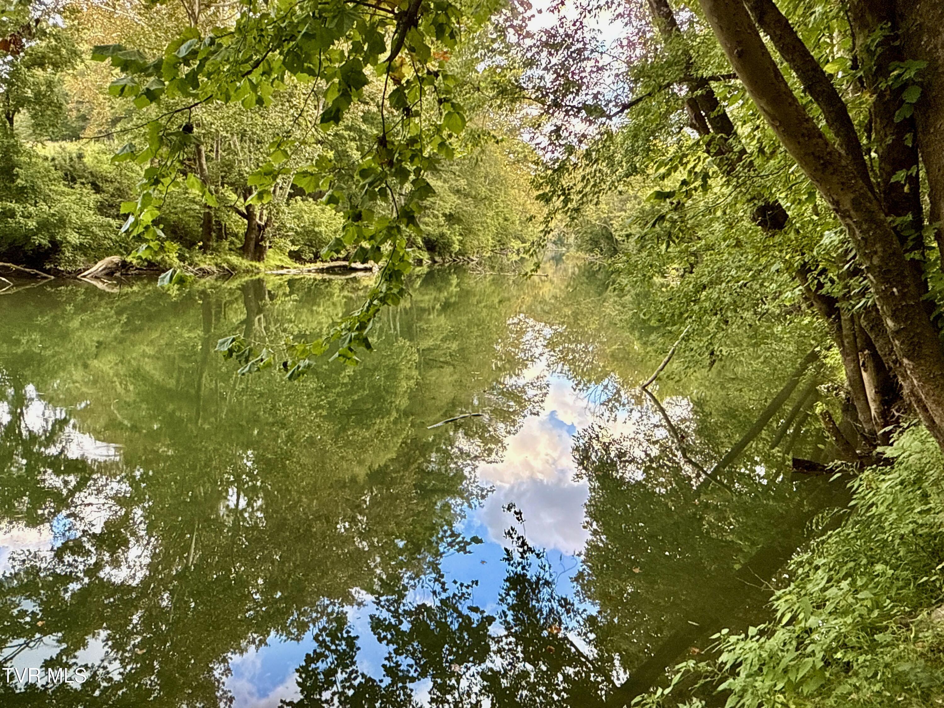 2114 Powell River Road Tazewell, TN 37879 - Photo 3 of 108 _Pic3 (27)