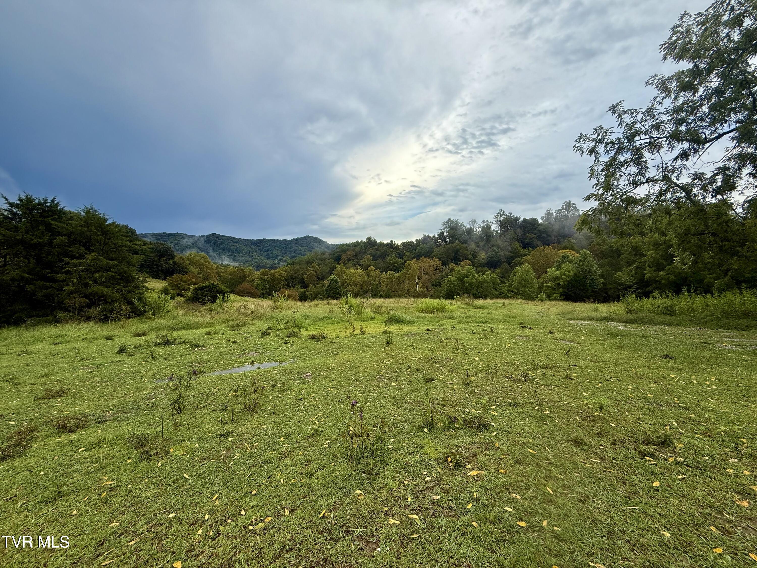 2114 Powell River Road Tazewell, TN 37879 - Photo 66 of 108 _Pic65 (9)