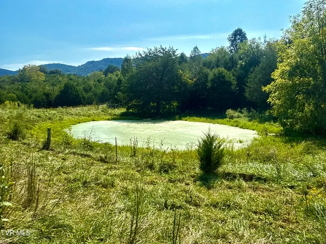 $3,545,000 | 2114 Powell River Road, Tazewell, TN 37879