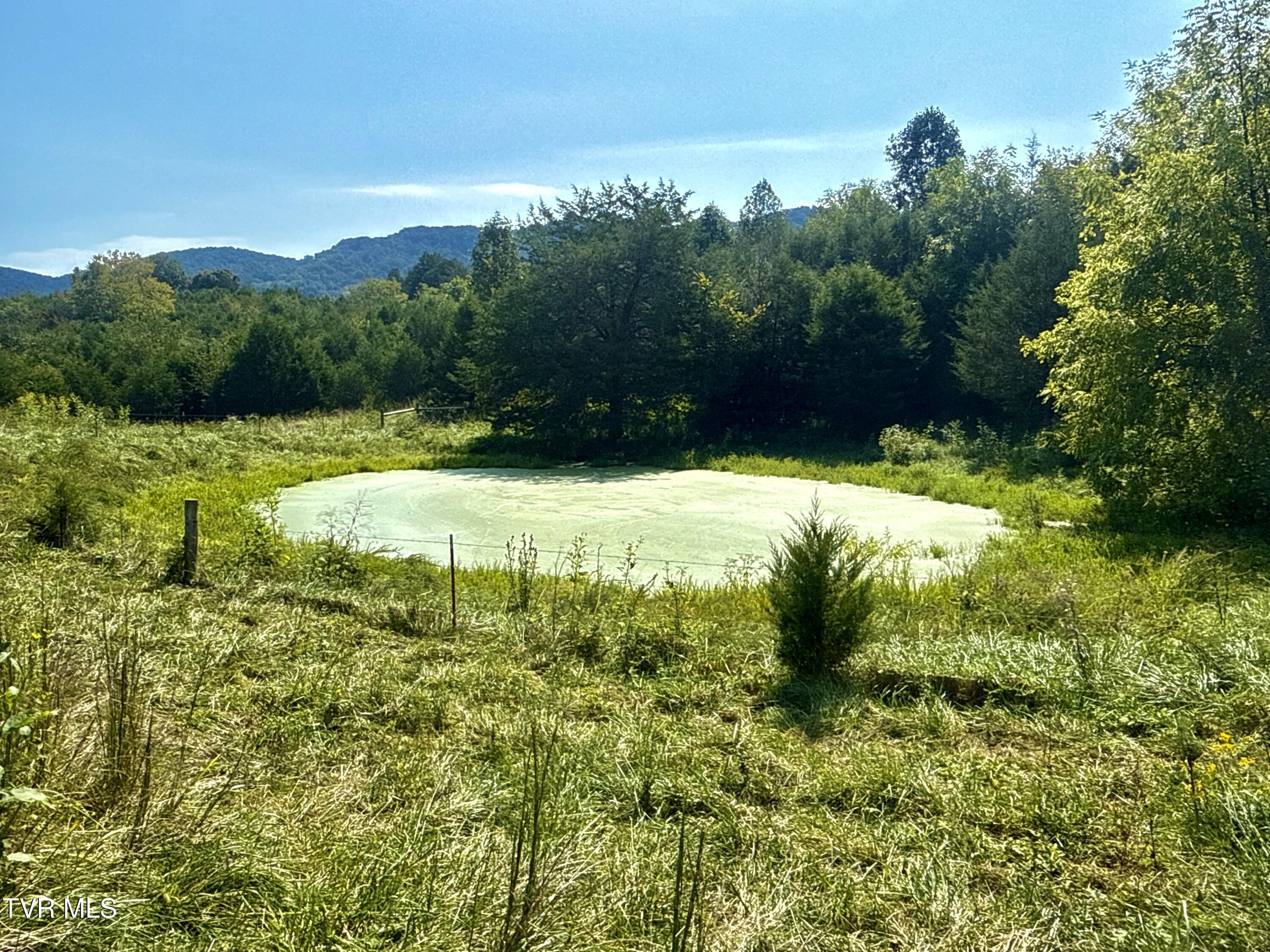 2114 Powell River Road Tazewell, TN 37879 - Photo 71 of 108 _Pic70 (8)