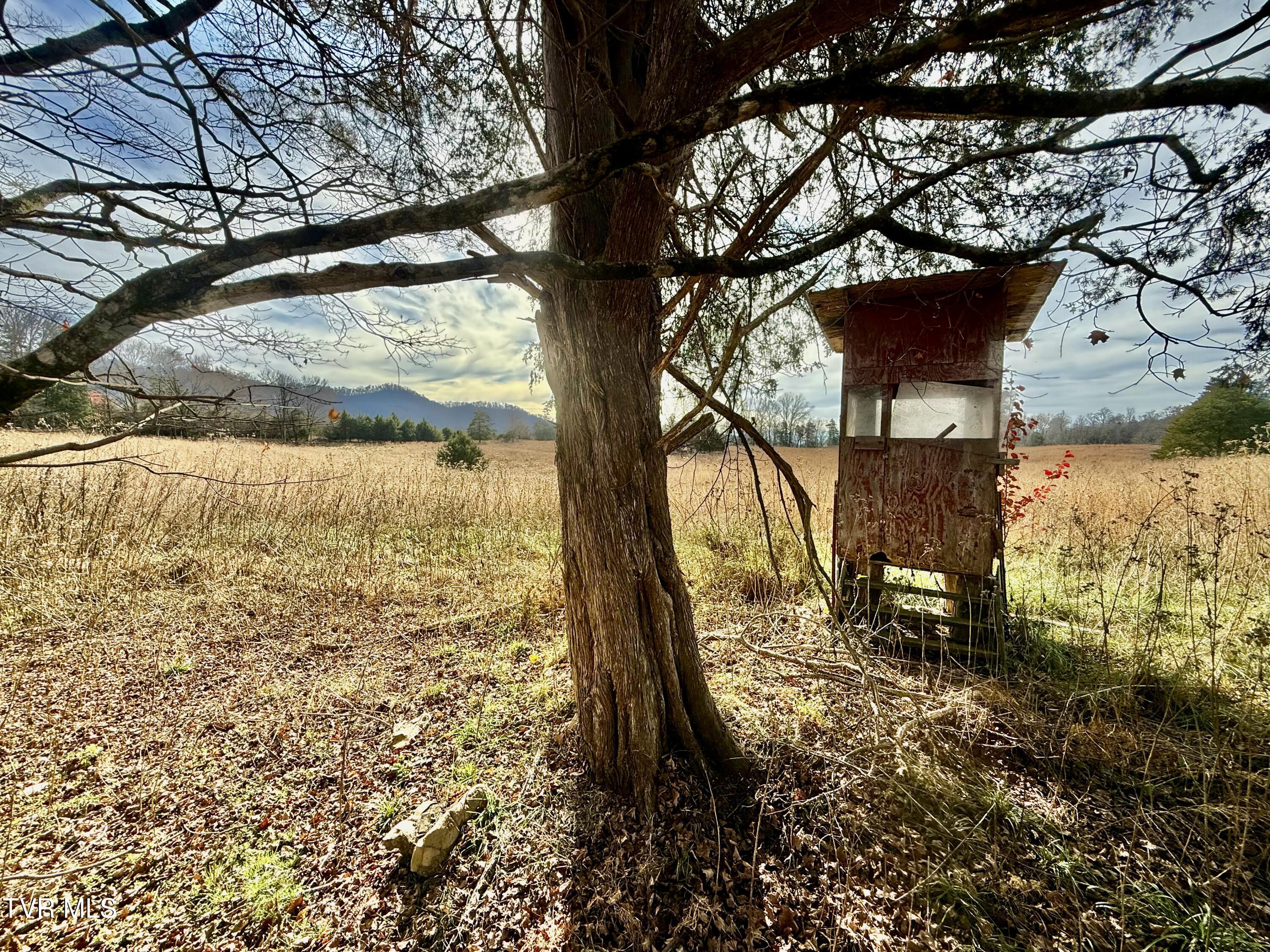 2114 Powell River Road Tazewell, TN 37879 - Photo 74 of 108 _Pic73 (5)