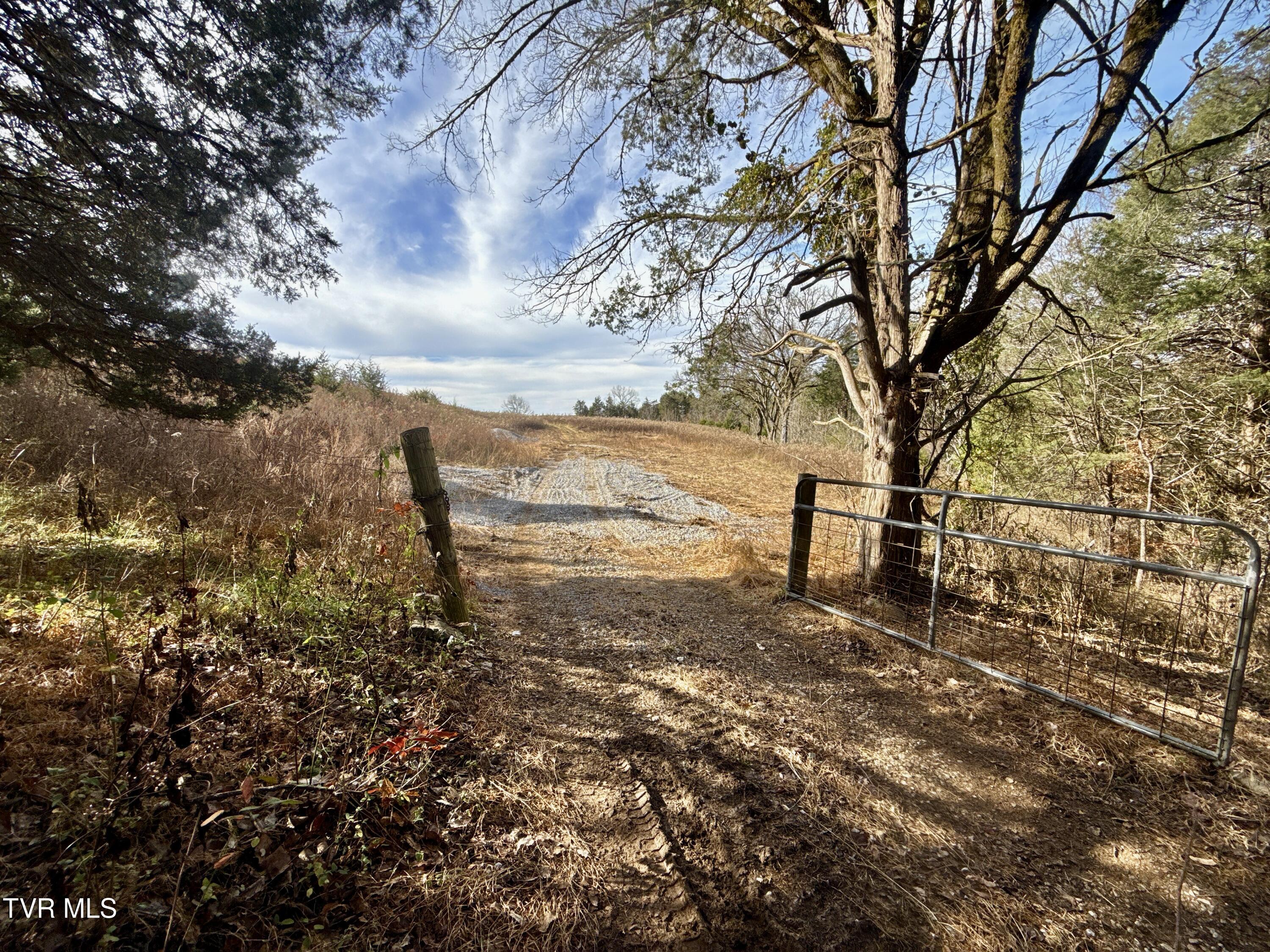 2114 Powell River Road Tazewell, TN 37879 - Photo 75 of 108 _Pic74 (6)