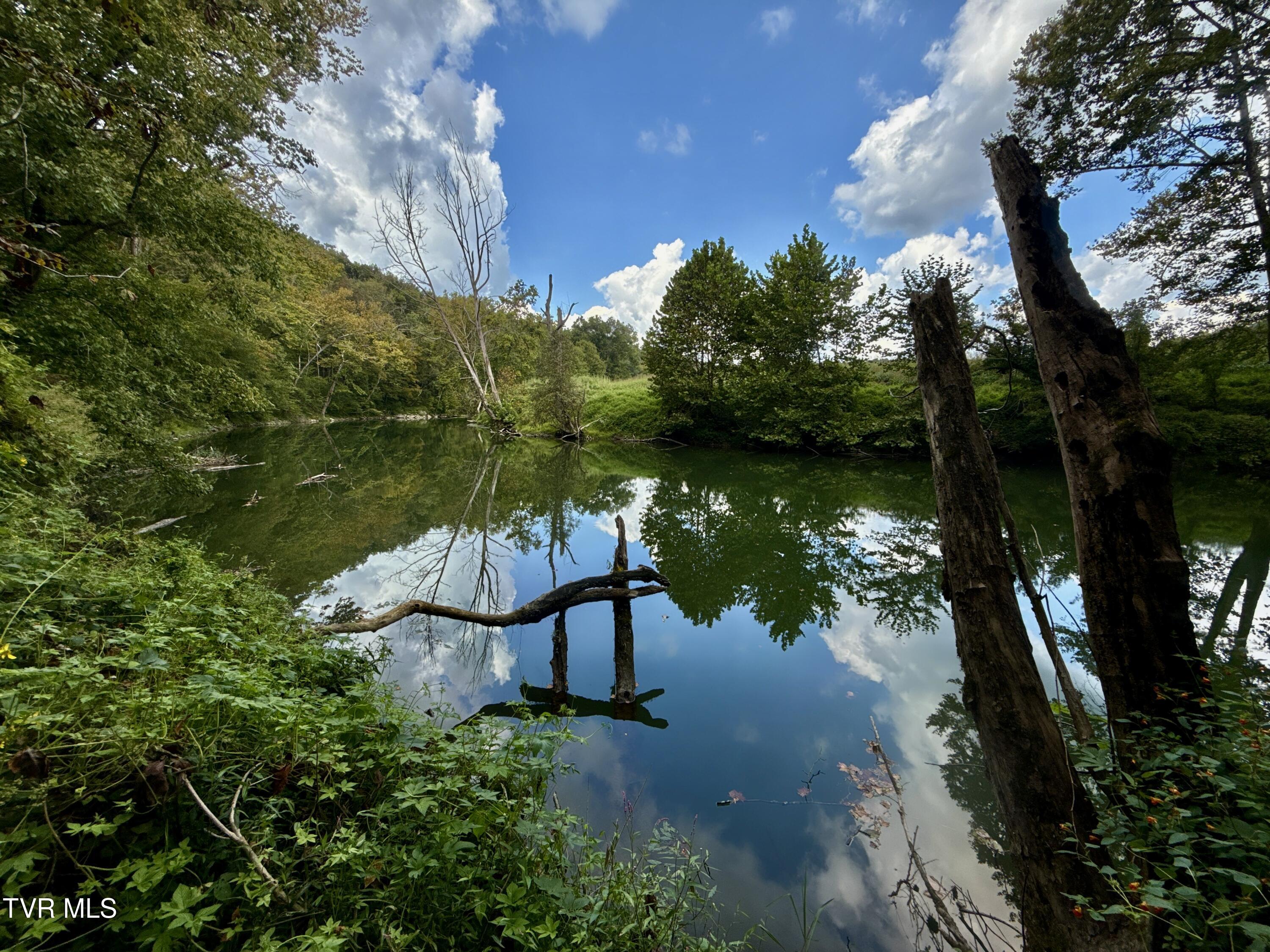 2114 Powell River Road Tazewell, TN 37879 - Photo 78 of 108 _Pic77 (4)