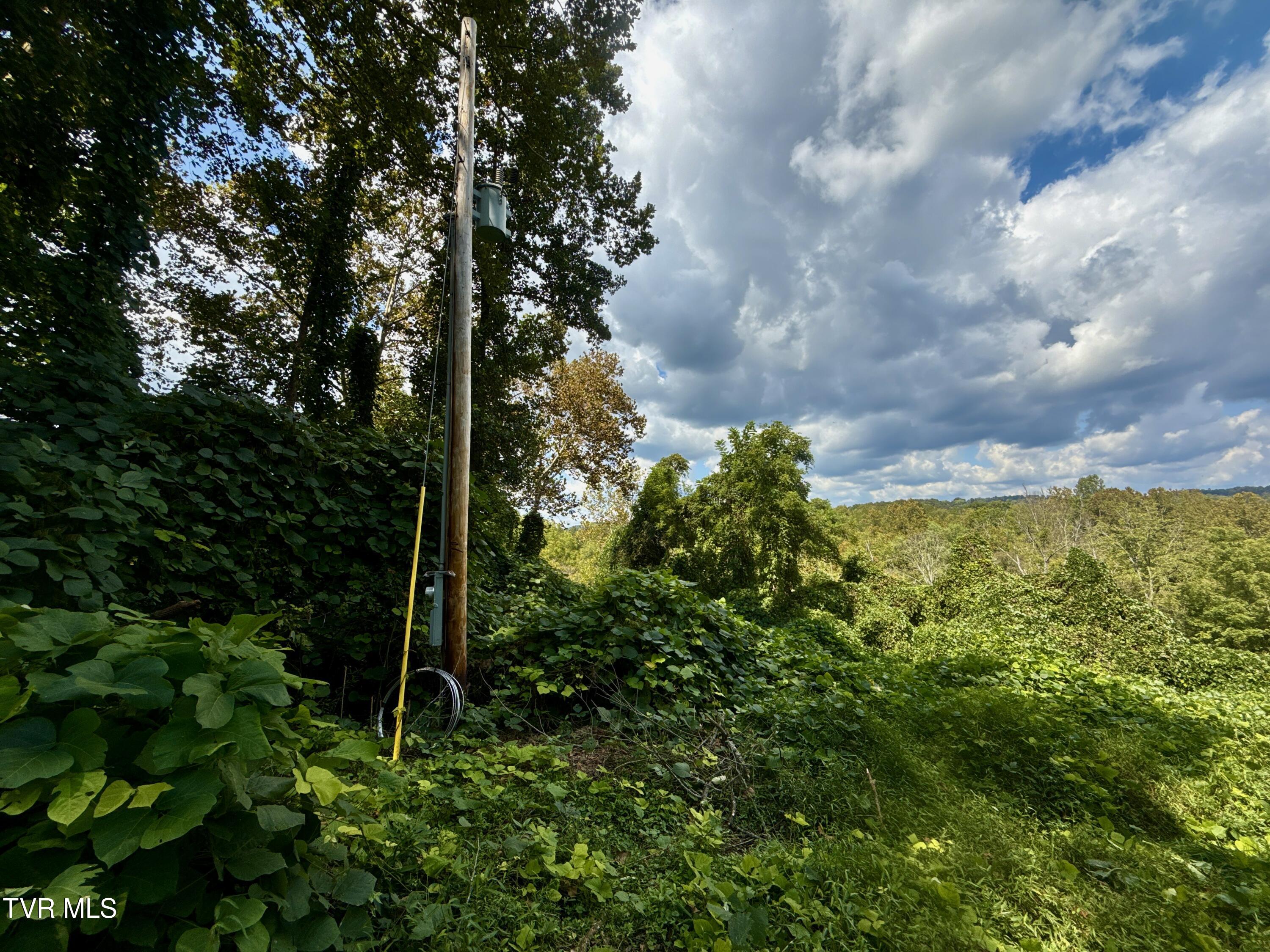 2114 Powell River Road Tazewell, TN 37879 - Photo 81 of 108 _Pic80 (5)