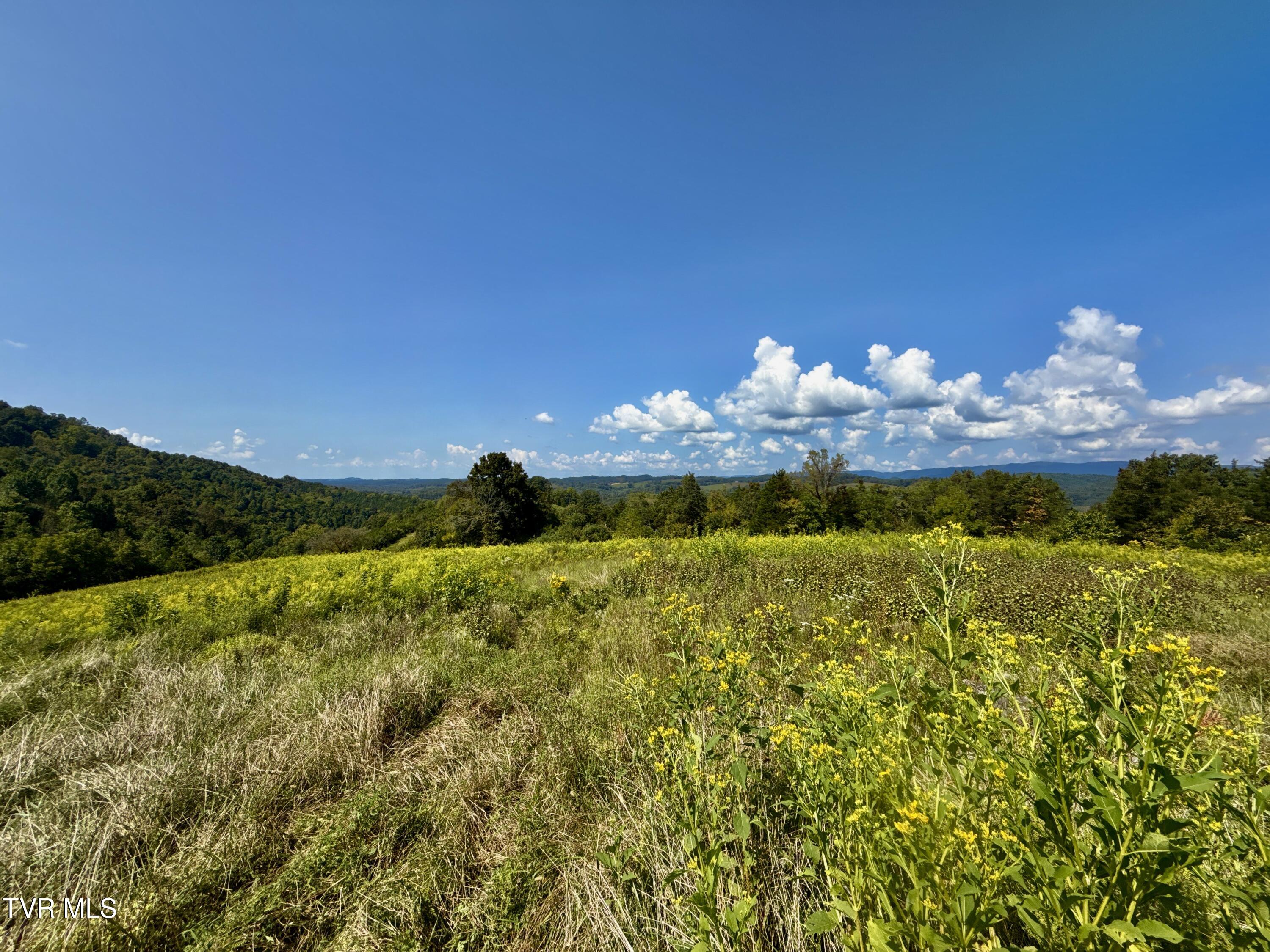 2114 Powell River Road Tazewell, TN 37879 - Photo 82 of 108 _Pic80 (4)