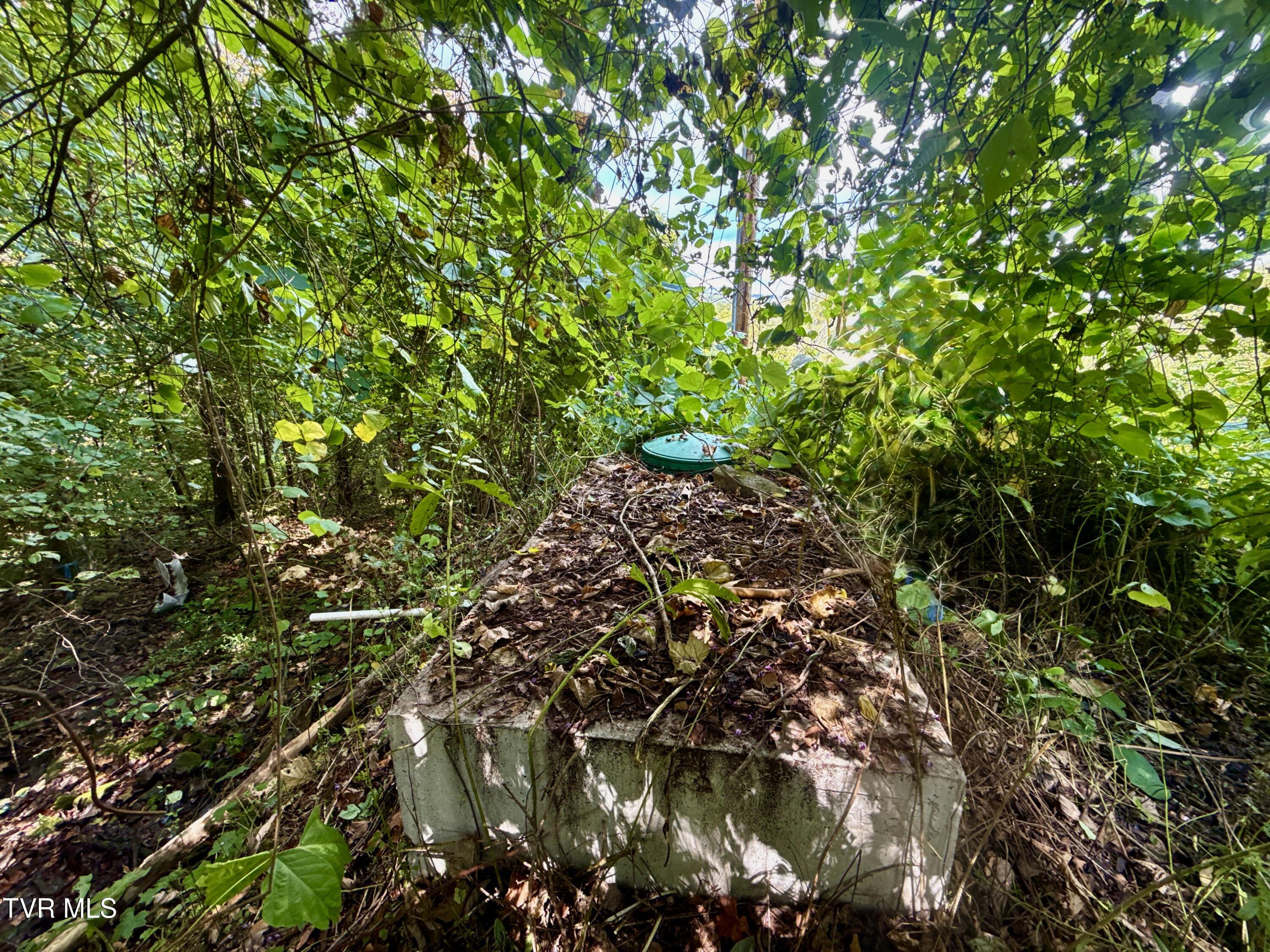 2114 Powell River Road Tazewell, TN 37879 - Photo 85 of 108 _Pic82 (4)