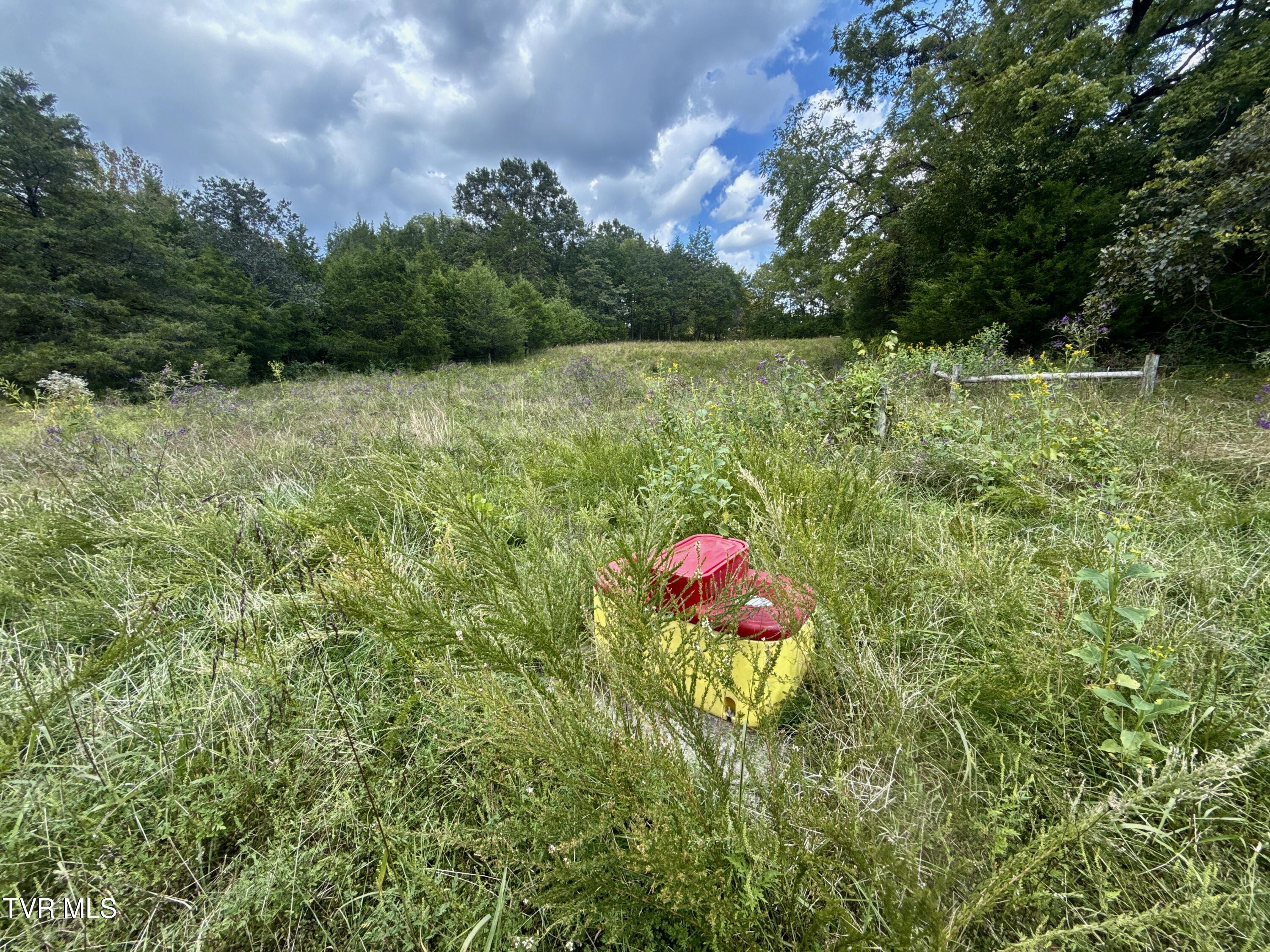 2114 Powell River Road Tazewell, TN 37879 - Photo 86 of 108 _Pic83 (3)