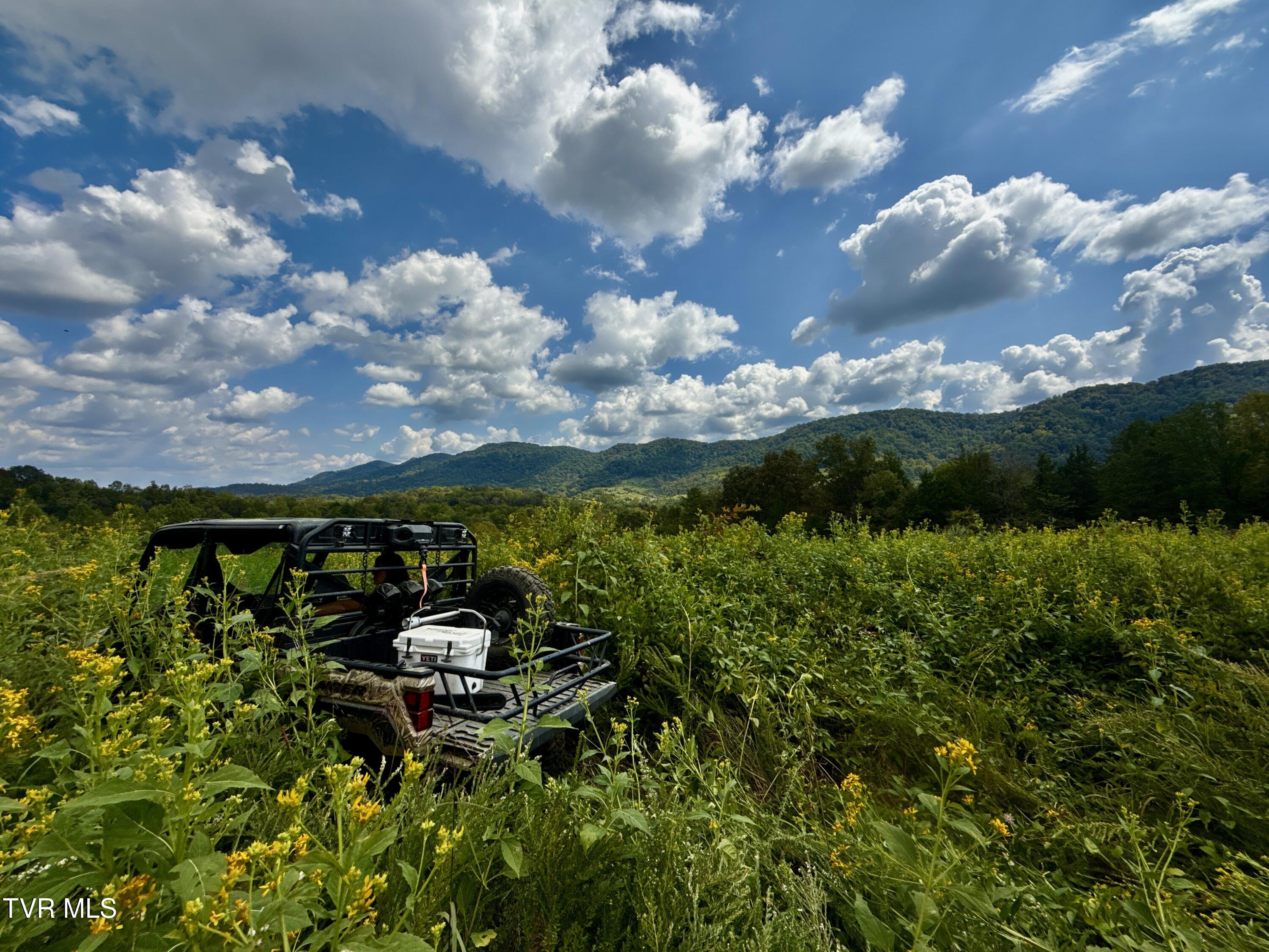 2114 Powell River Road Tazewell, TN 37879 - Photo 87 of 108 _Pic84 (4)