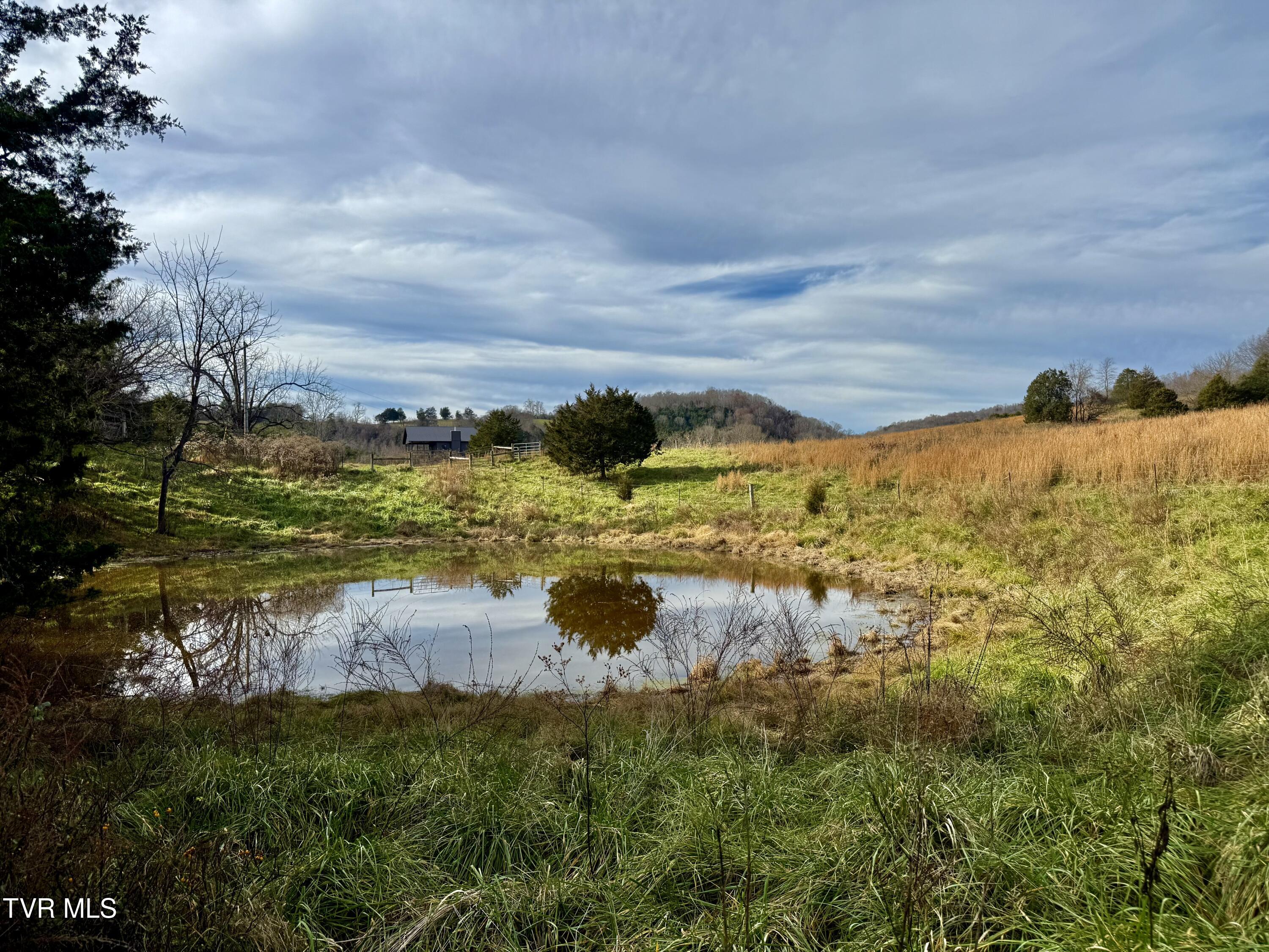 2114 Powell River Road Tazewell, TN 37879 - Photo 89 of 108 _Pic86 (3)