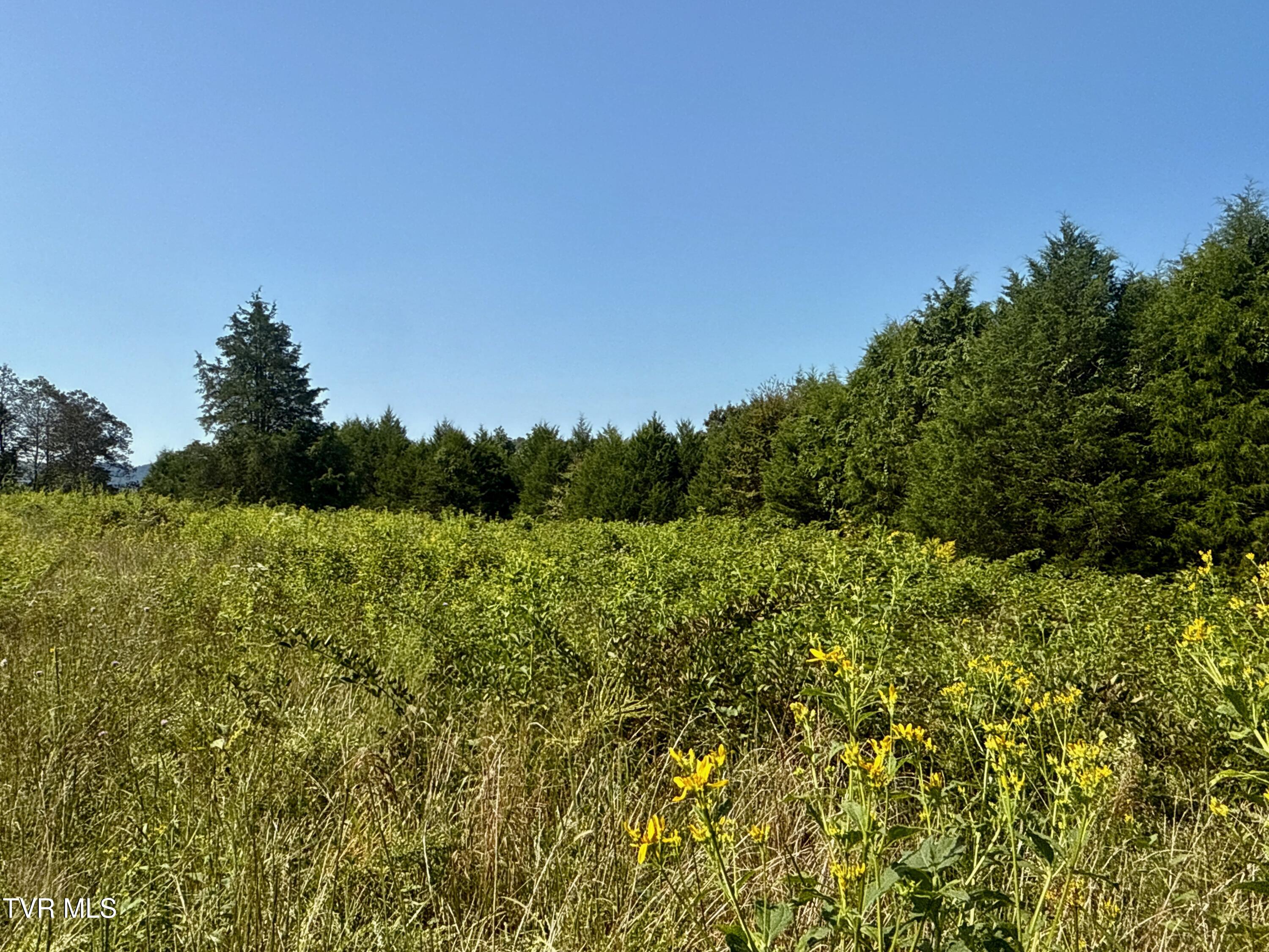 2114 Powell River Road Tazewell, TN 37879 - Photo 91 of 108 _Pic88 (4)