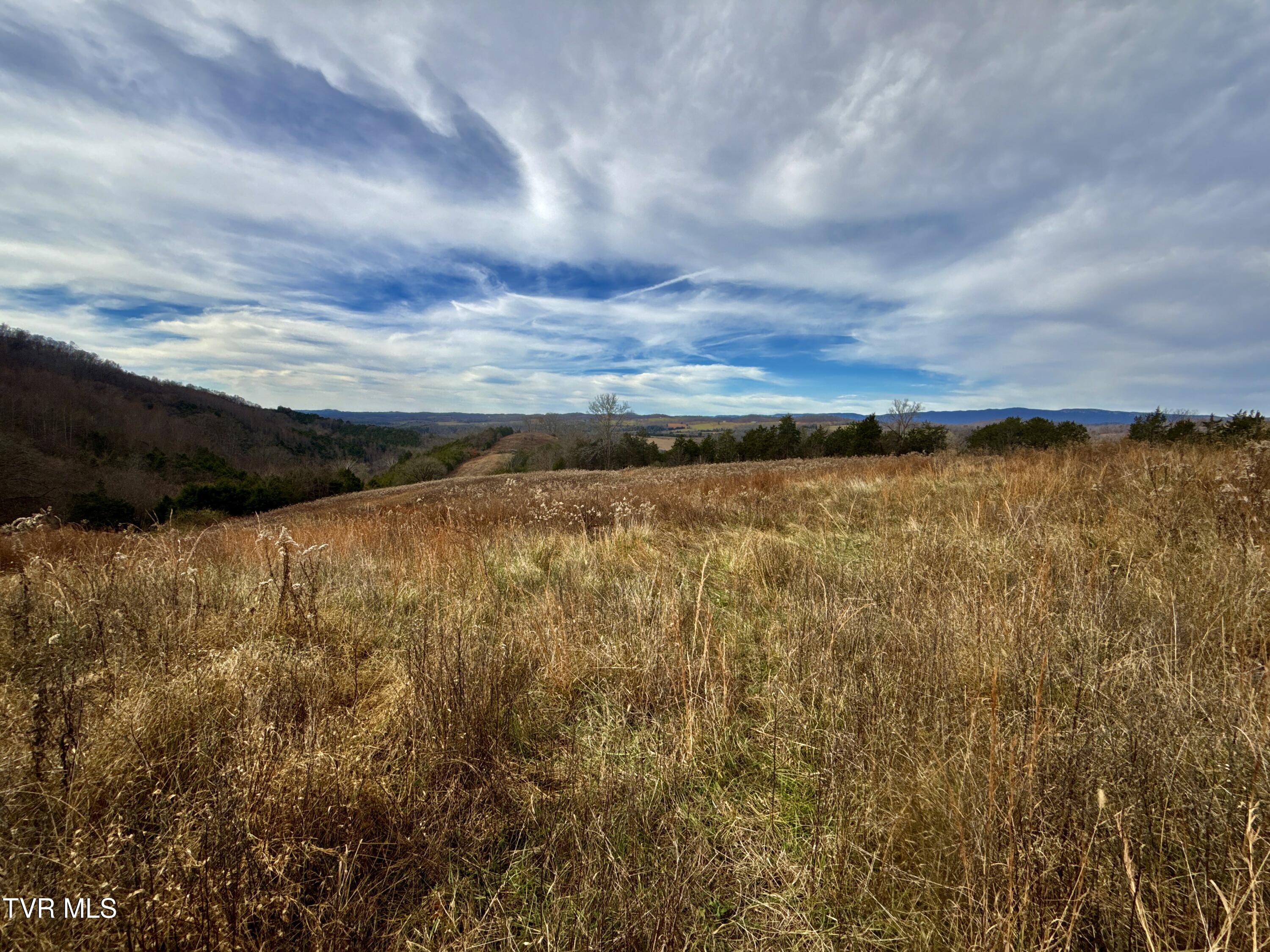 2114 Powell River Road Tazewell, TN 37879 - Photo 93 of 108 _Pic90 (3)