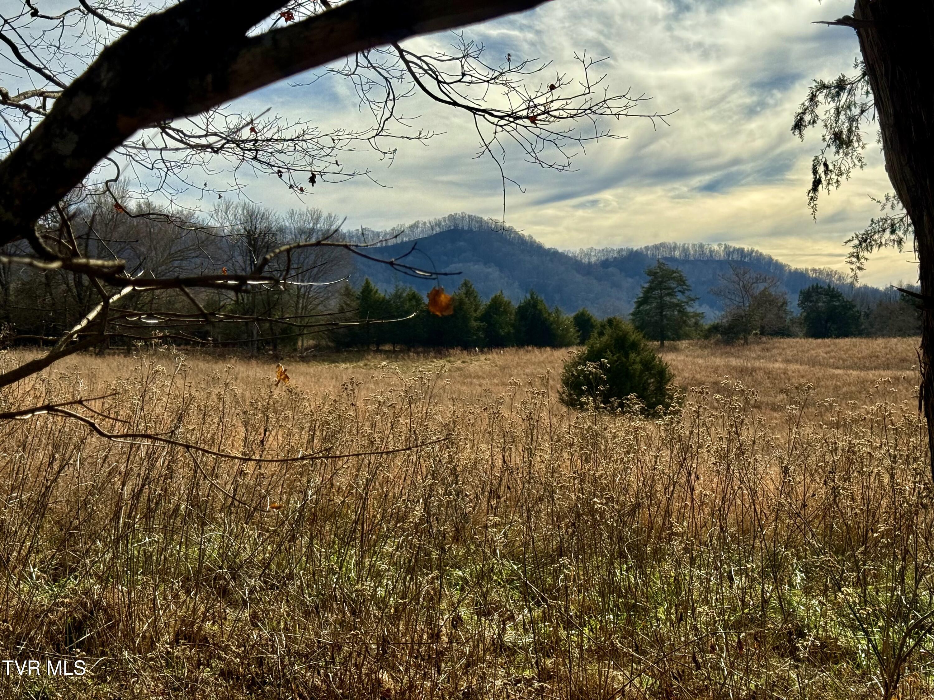 2114 Powell River Road Tazewell, TN 37879 - Photo 95 of 108 _Pic92 (2)