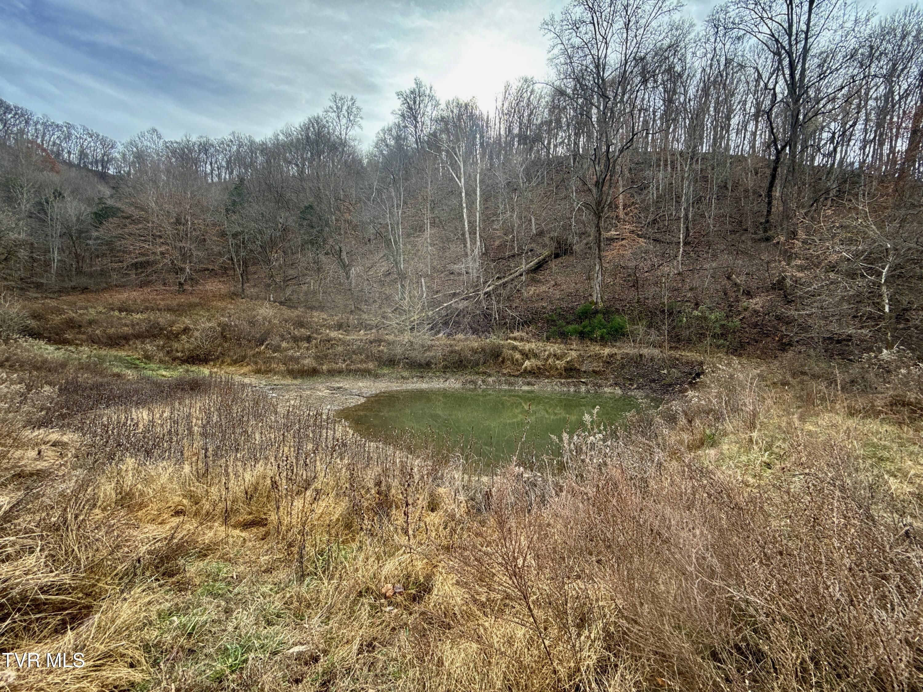 2114 Powell River Road Tazewell, TN 37879 - Photo 96 of 108 _Pic93 (3)