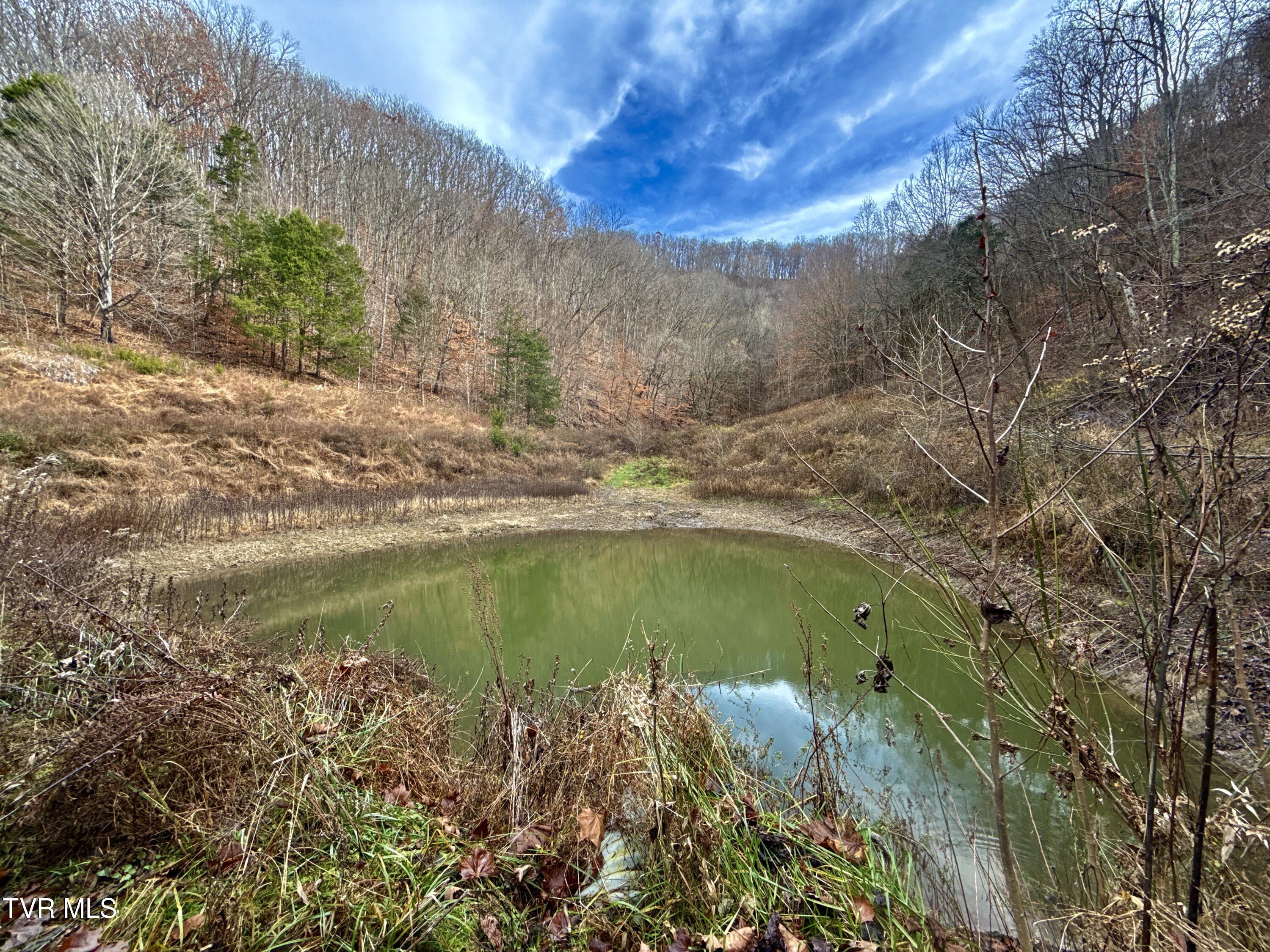 2114 Powell River Road Tazewell, TN 37879 - Photo 97 of 108 _Pic94 (3)