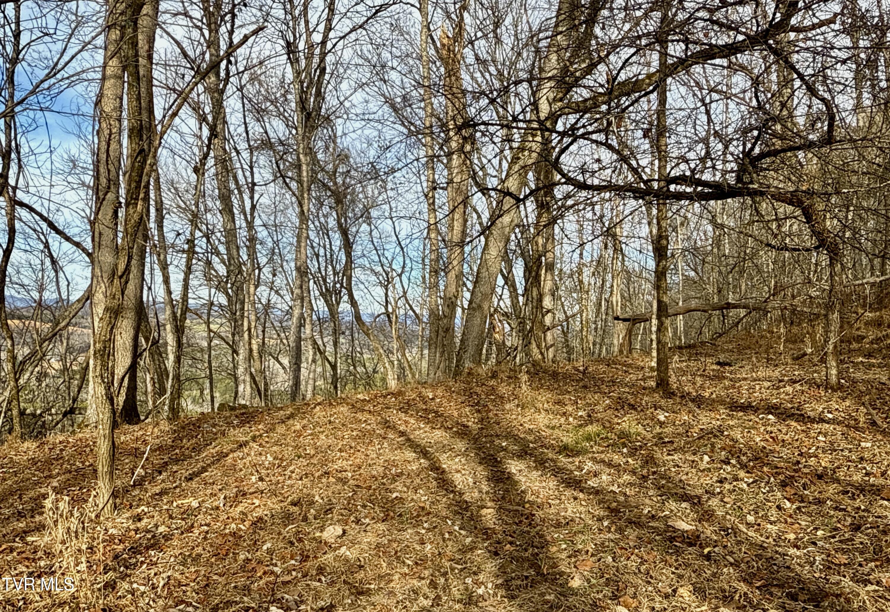 2114 Powell River Road Tazewell, TN 37879 - Photo 98 of 108 _Pic95 (2)