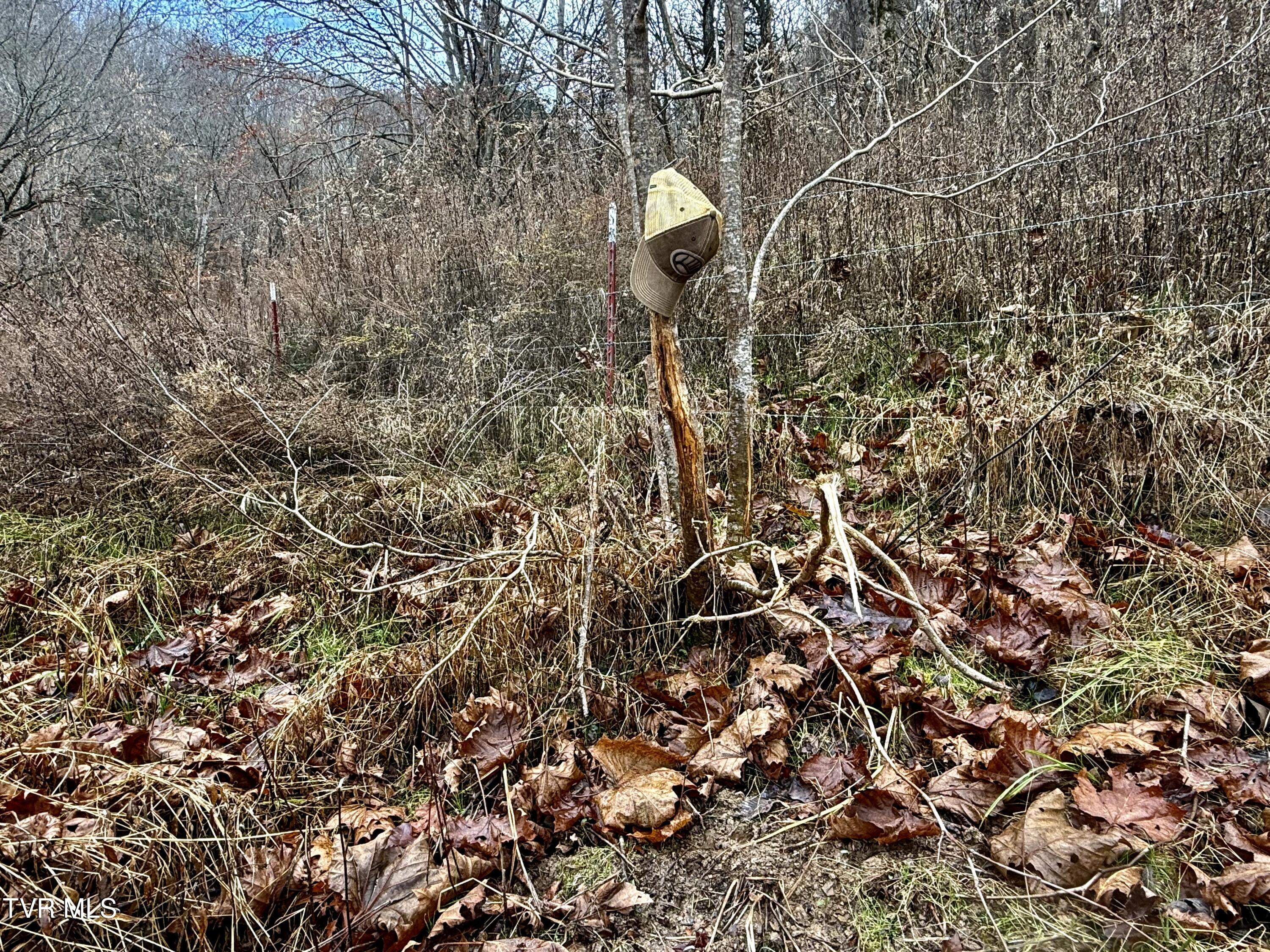 2114 Powell River Road Tazewell, TN 37879 - Photo 99 of 108 _Pic96 (2)
