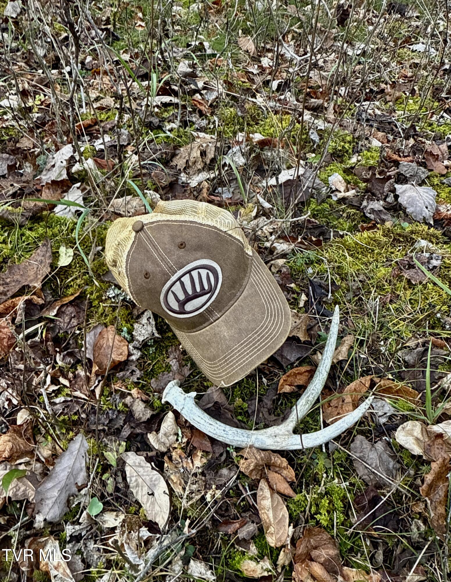 2114 Powell River Road Tazewell, TN 37879 - Photo 100 of 108 _Pic97 (2)