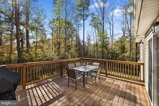 a view of a yard with large trees
