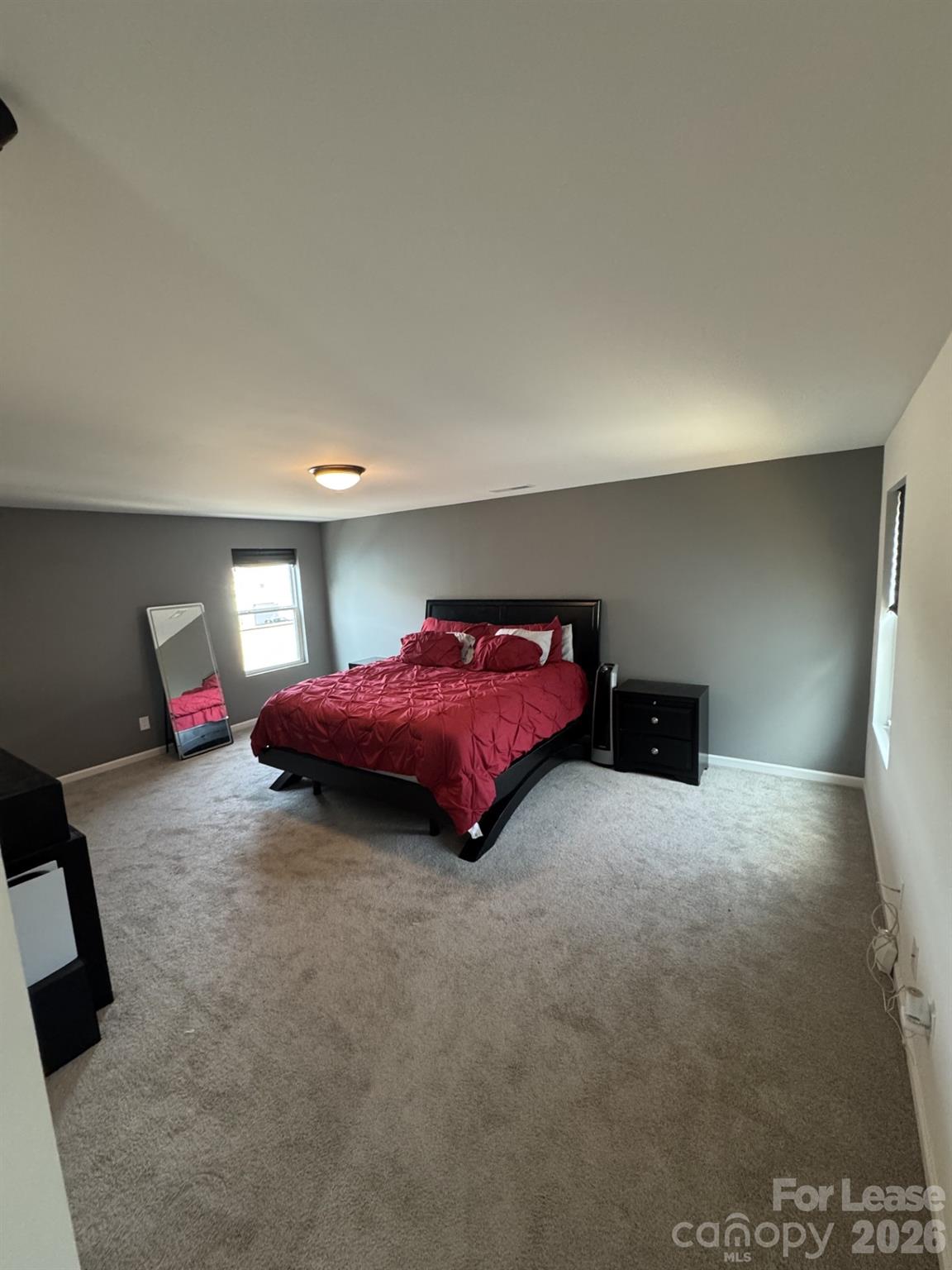 495 Switch Street York, SC 29745 - Photo 12 of 16