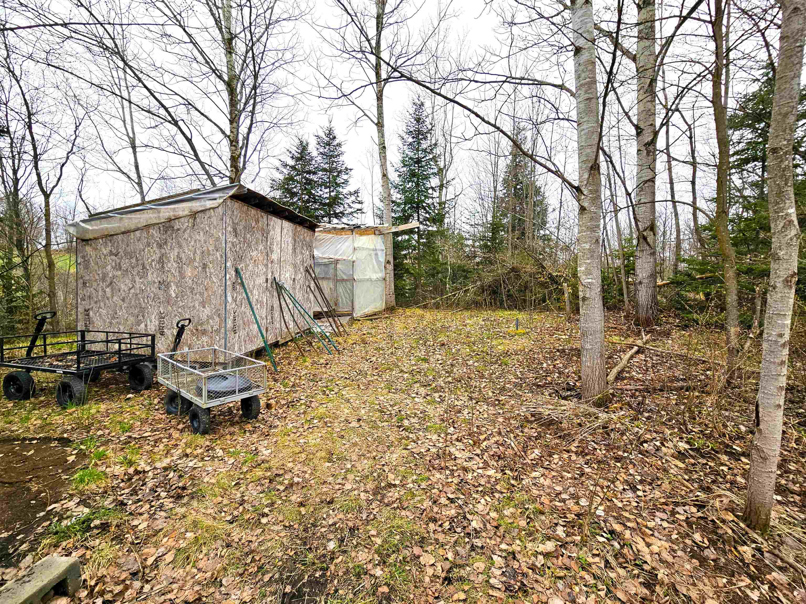 0 Buzzell Road, Unit 2 Newport Center, VT 05857 - Photo 3 of 22 Gallery Image 3