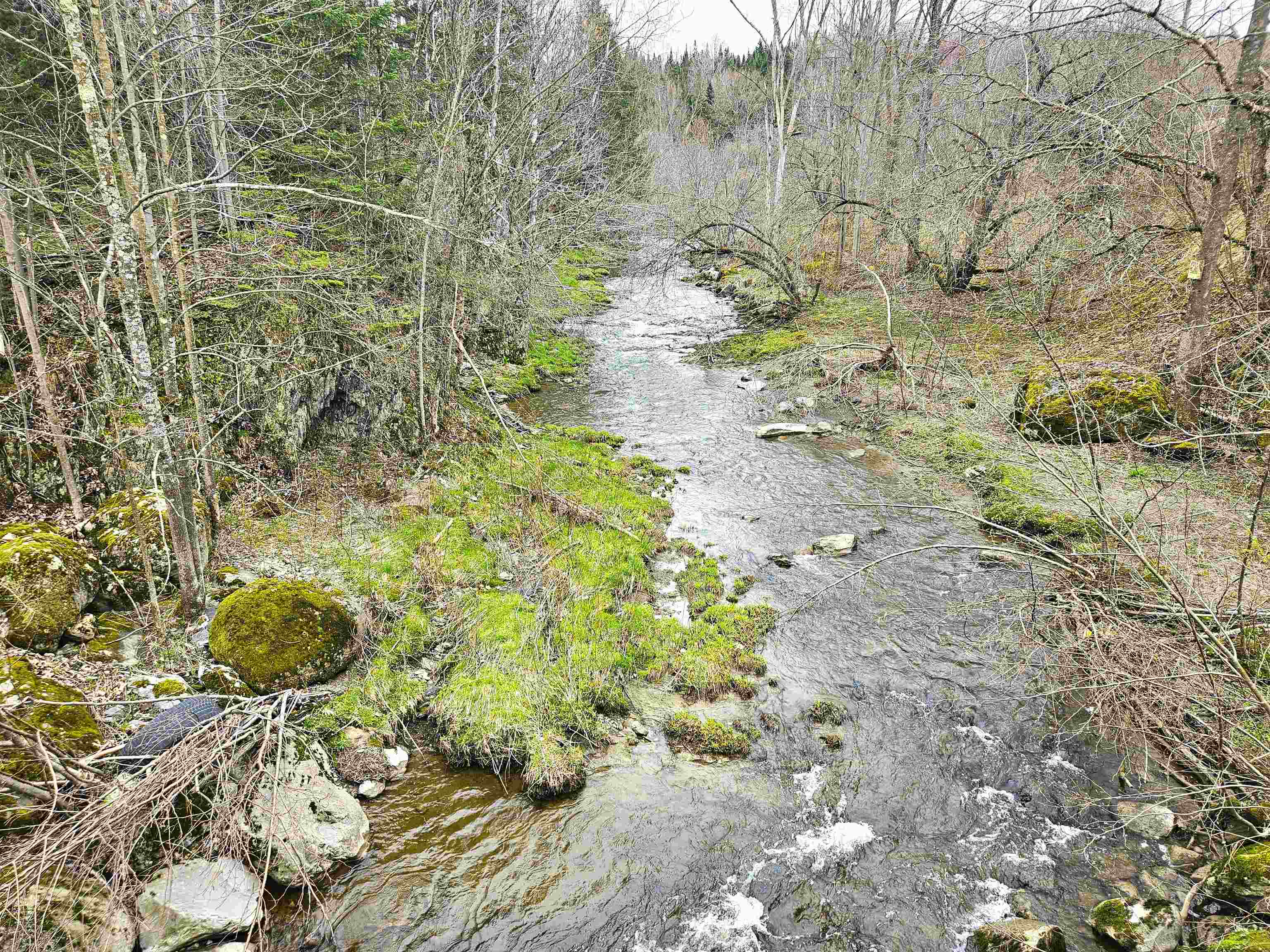 0 Buzzell Road, Unit 2 Newport Center, VT 05857 - Photo 8 of 22 Gallery Image 8