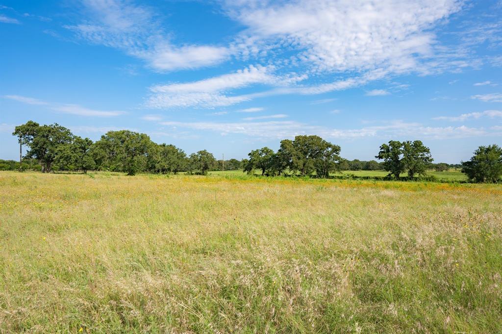 923 Natty Flat Road, Unit FARMRANCH Lipan, TX 76462 - Photo 38 of 40