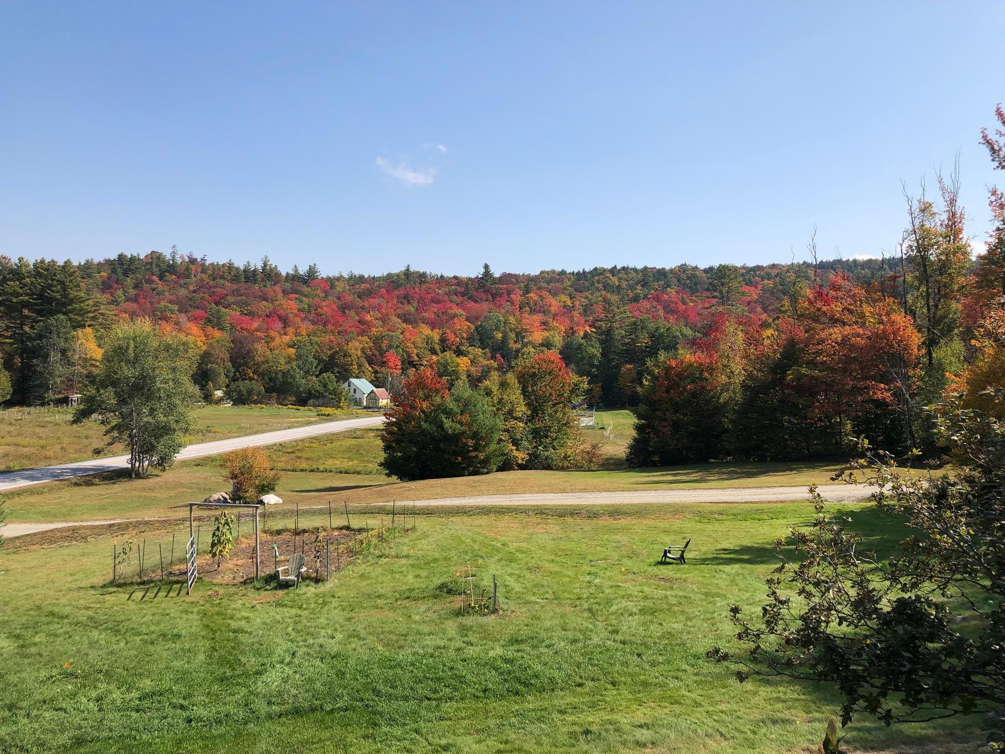 137 Stratton Arlington Road Wardsboro, VT 05360 - Photo 6 of 44