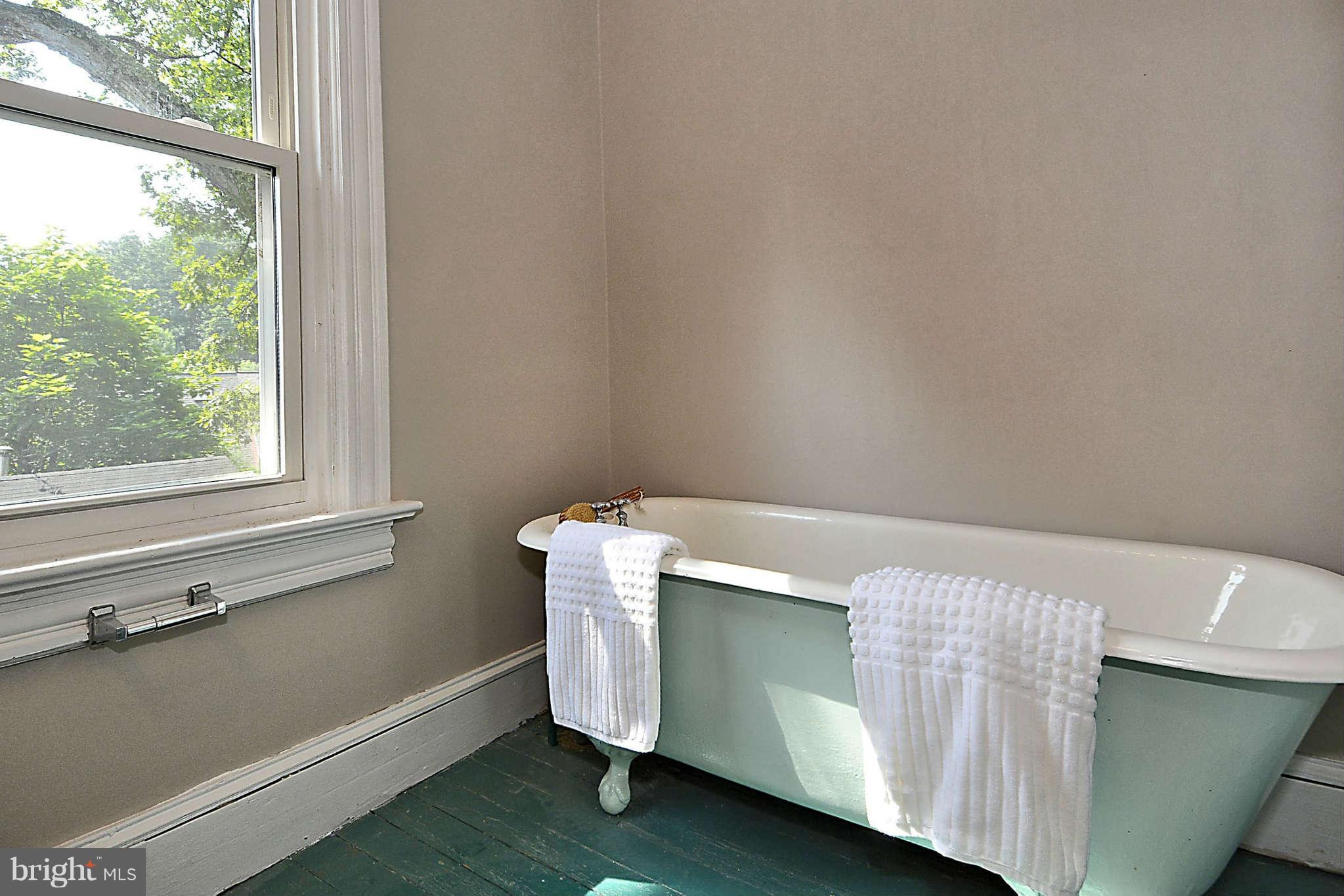 1825 Kirby Road McLean, VA 22101 - Photo 26 of 30 Classic Claw Foot Tub