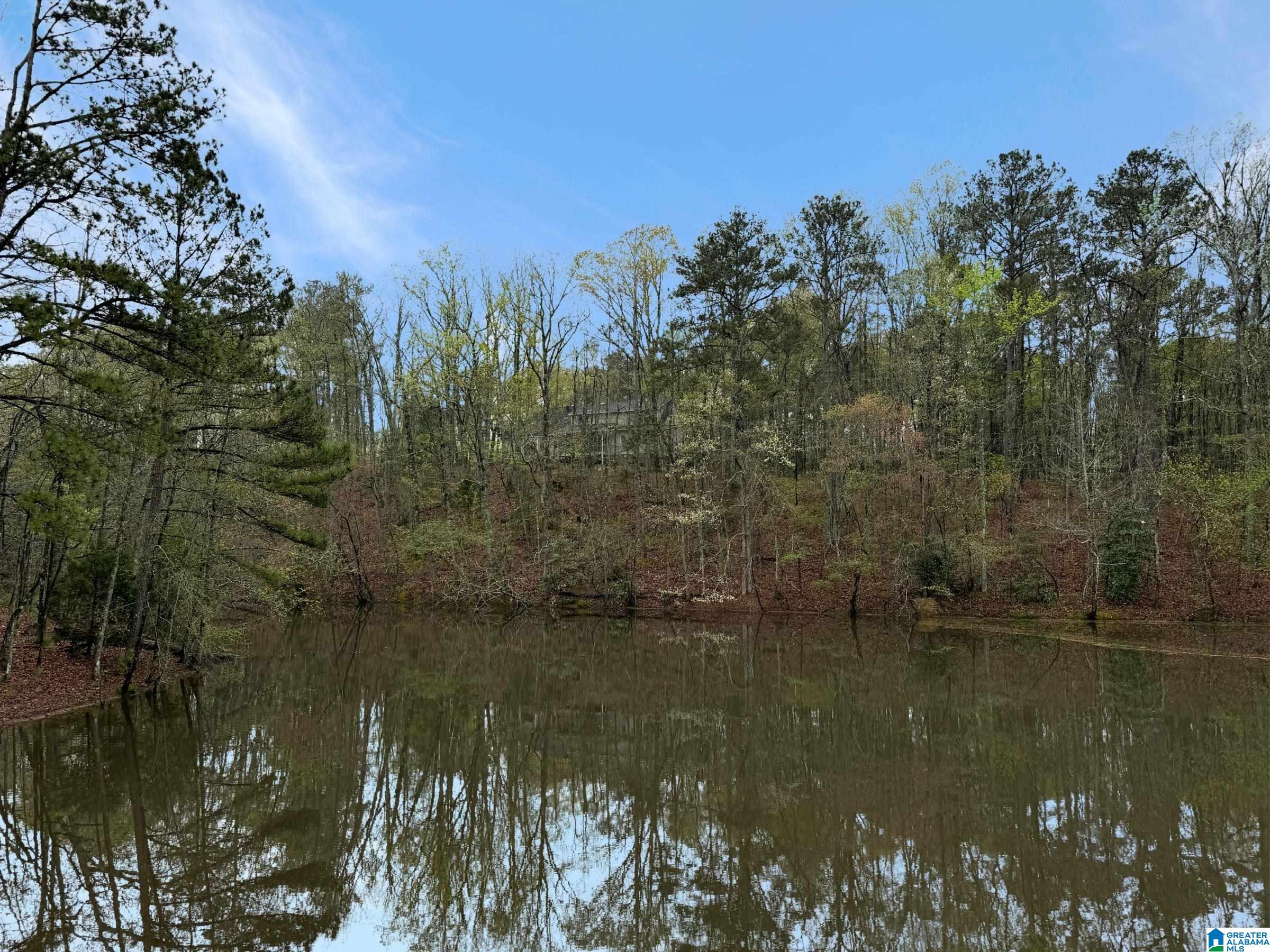 111 Redbud Road Columbiana, AL 35051 - Photo 46 of 49