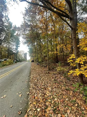 a view of a yard with plants and trees