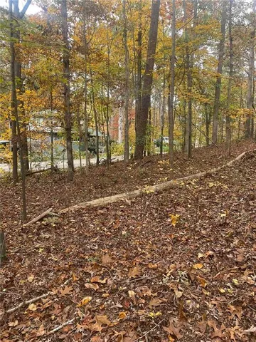 a view of a yard with trees