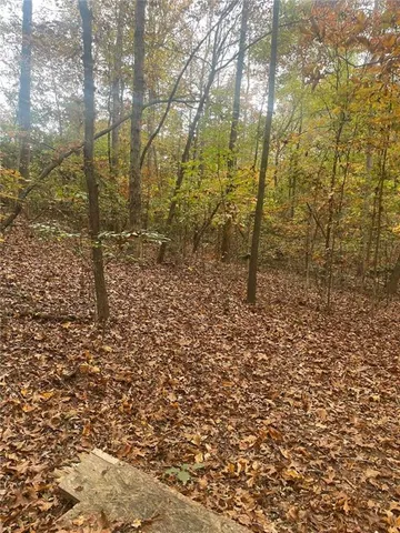 a view of a forest with trees