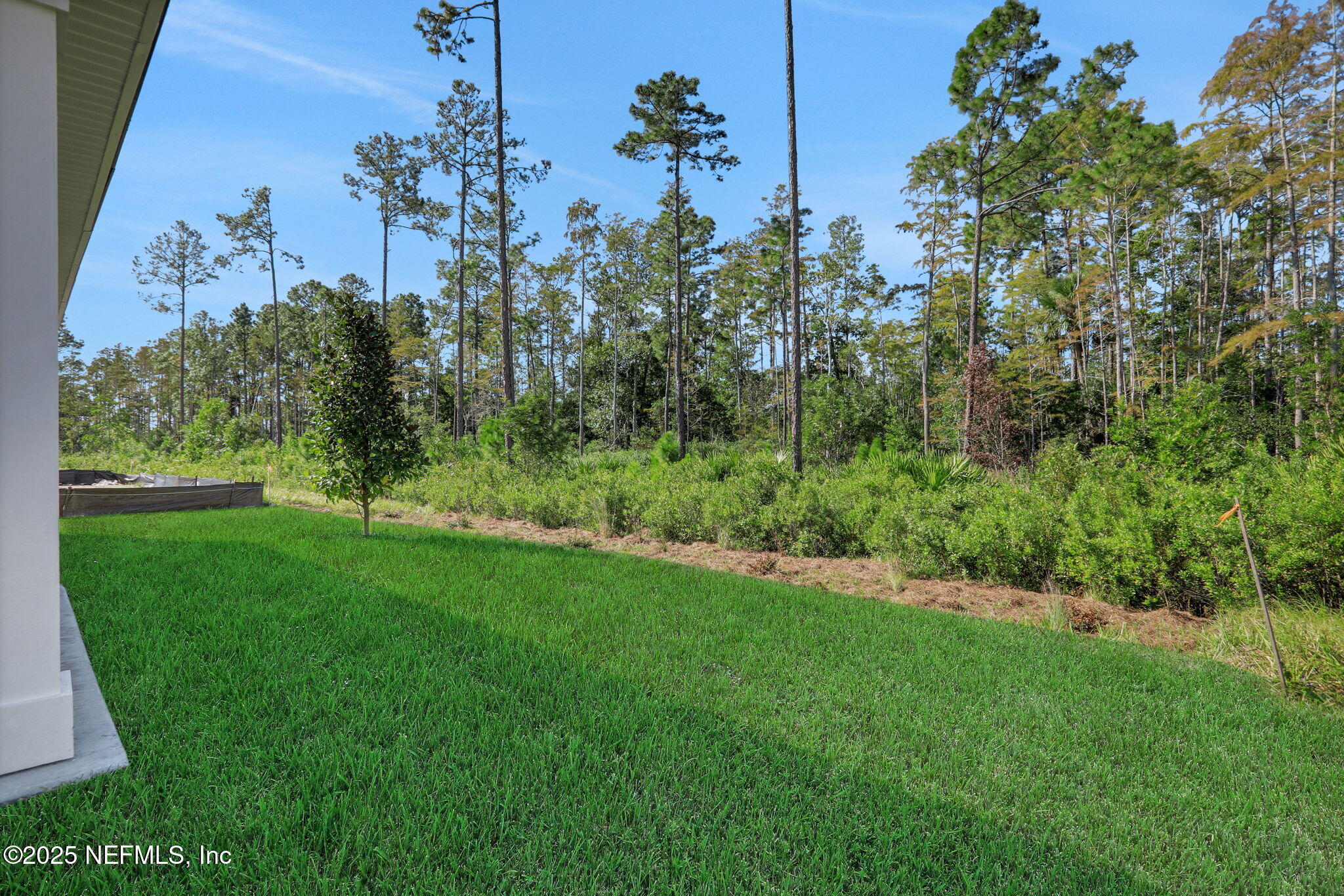 329 Pinzon Place St. Augustine, FL 32095 - Photo 11 of 36 a view of a garden with a tree