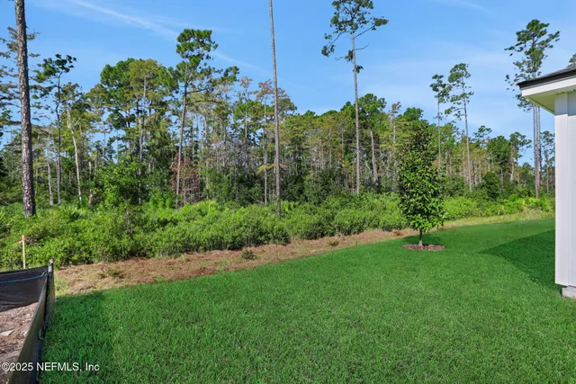a view of a garden with a flower in a garden