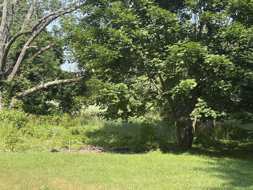 12 Nelson Place Worcester, MA 01605 - Photo 13 of 21
