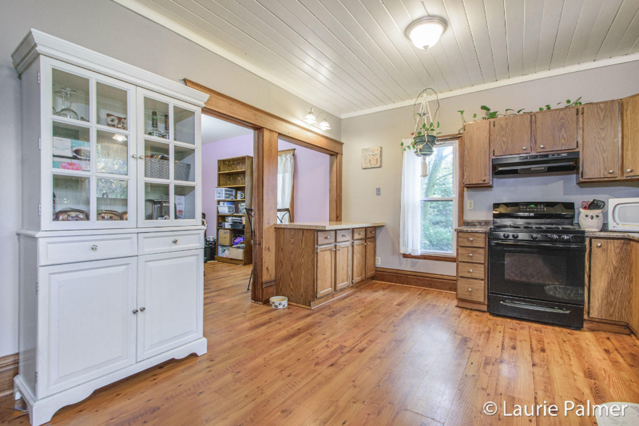 5869 South State Road Ionia, MI 48846 - Photo 5 of 23 DSC_0940