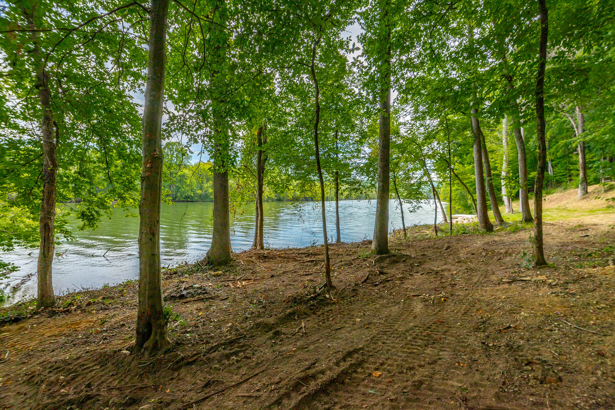 0 County Road 5 Calhoun, TN 37309 - Photo 16 of 32 425 County Road 5 Lot HD-63